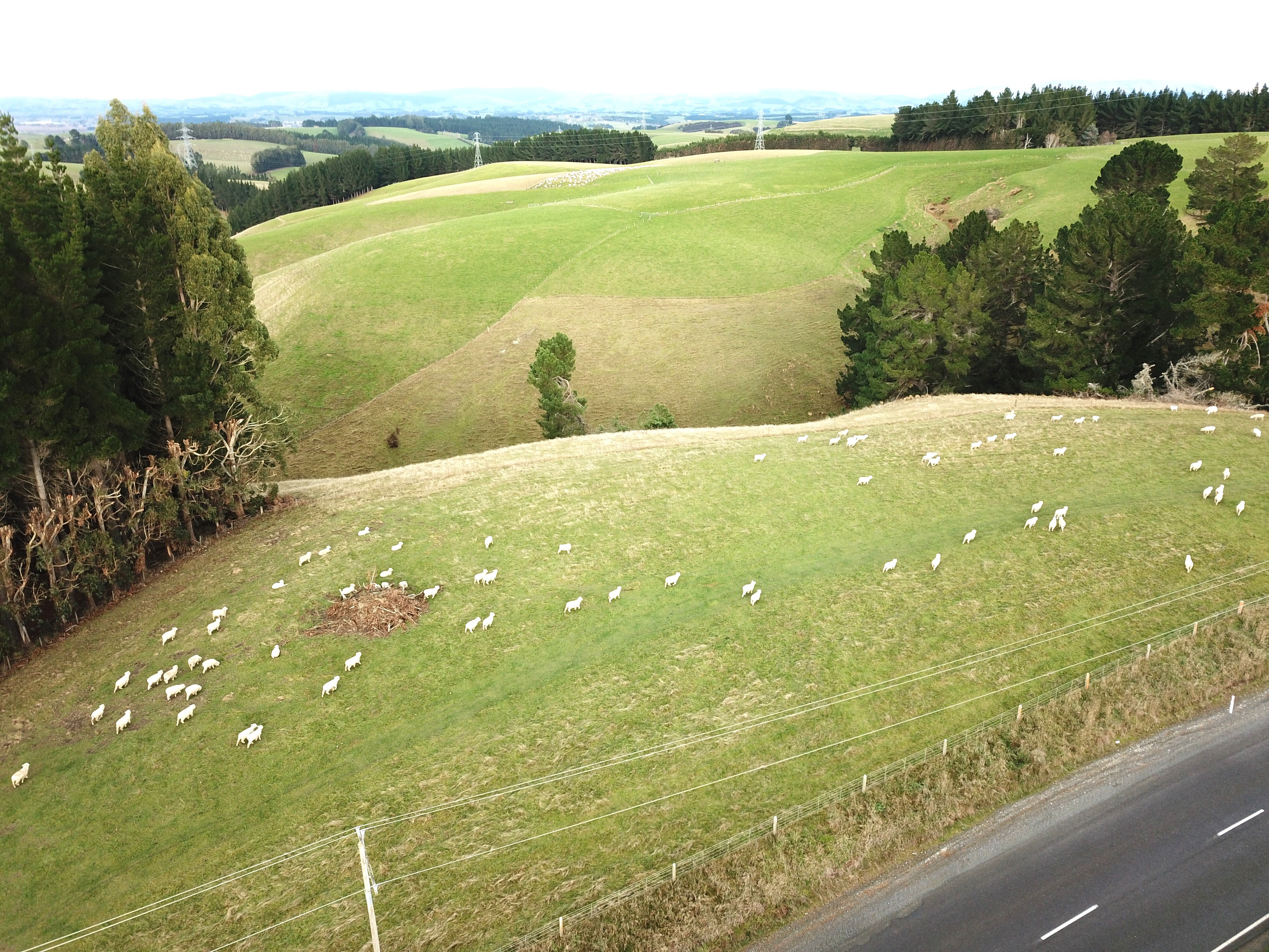 241 Hillend Road, Hillend, Clutha For Sale Property Brokers