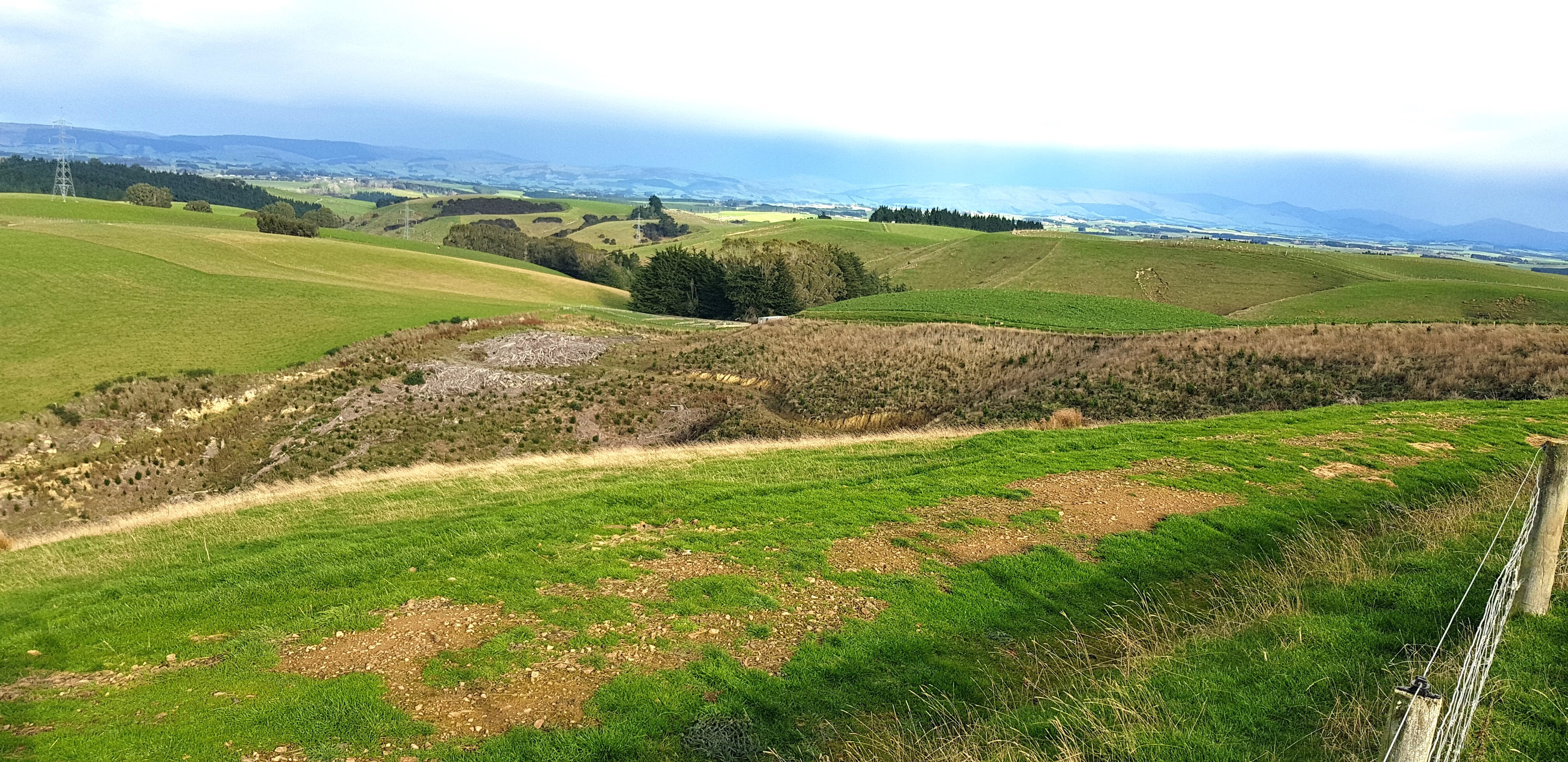 241 Hillend Road, Hillend, Clutha For Sale Property Brokers