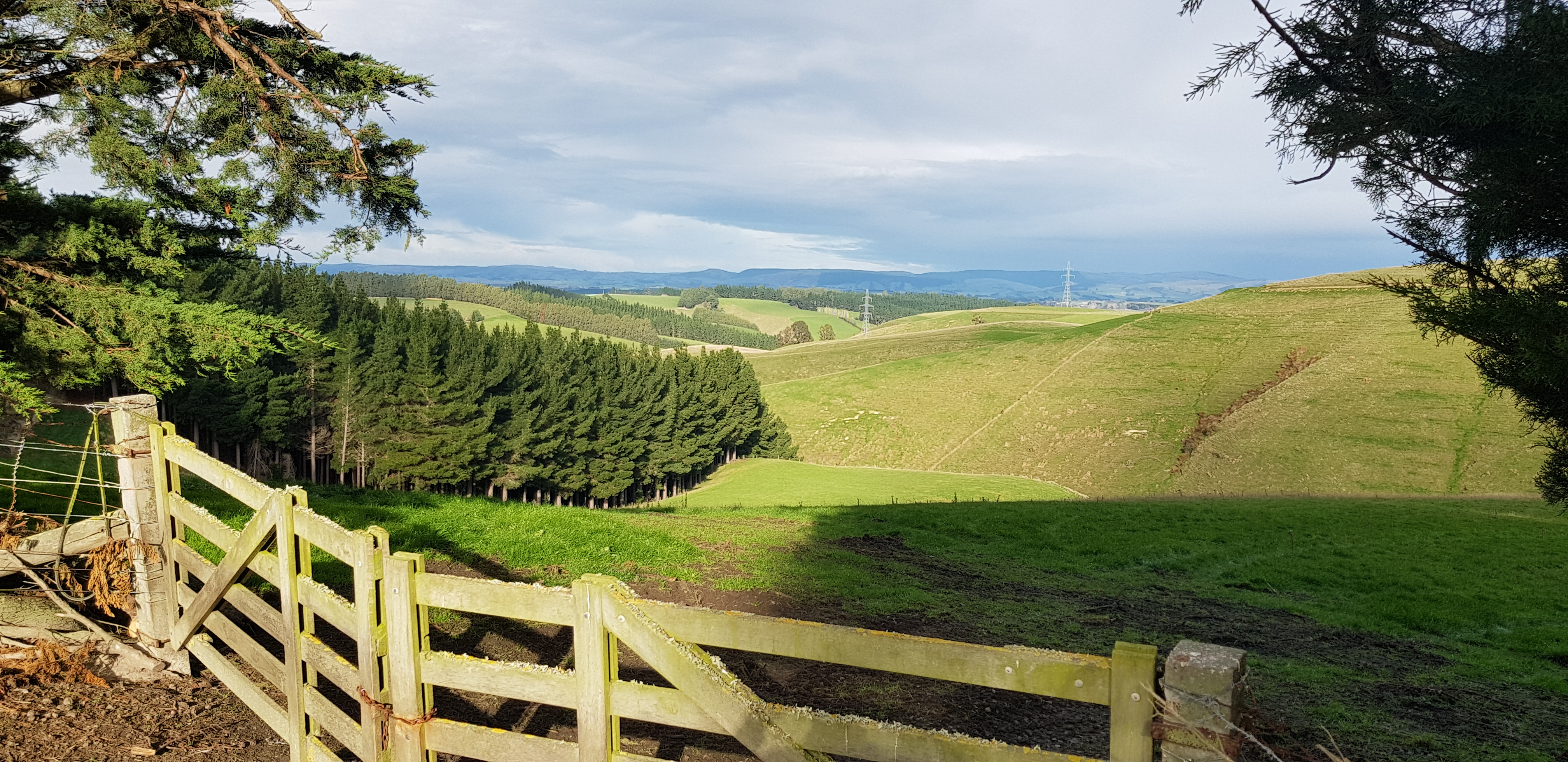 241 Hillend Road, Hillend, Clutha For Sale Property Brokers