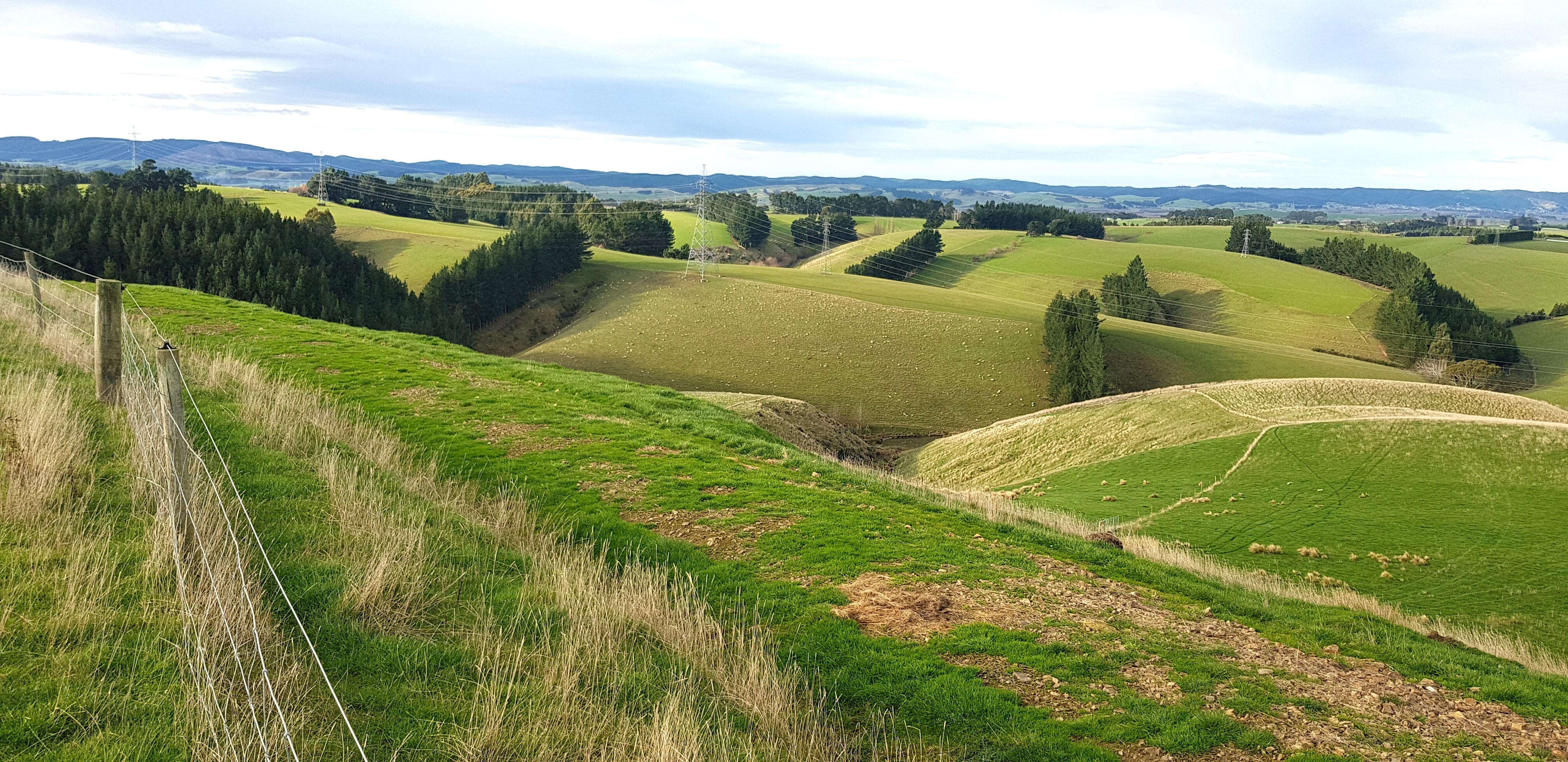 241 Hillend Road, Hillend, Clutha For Sale Property Brokers