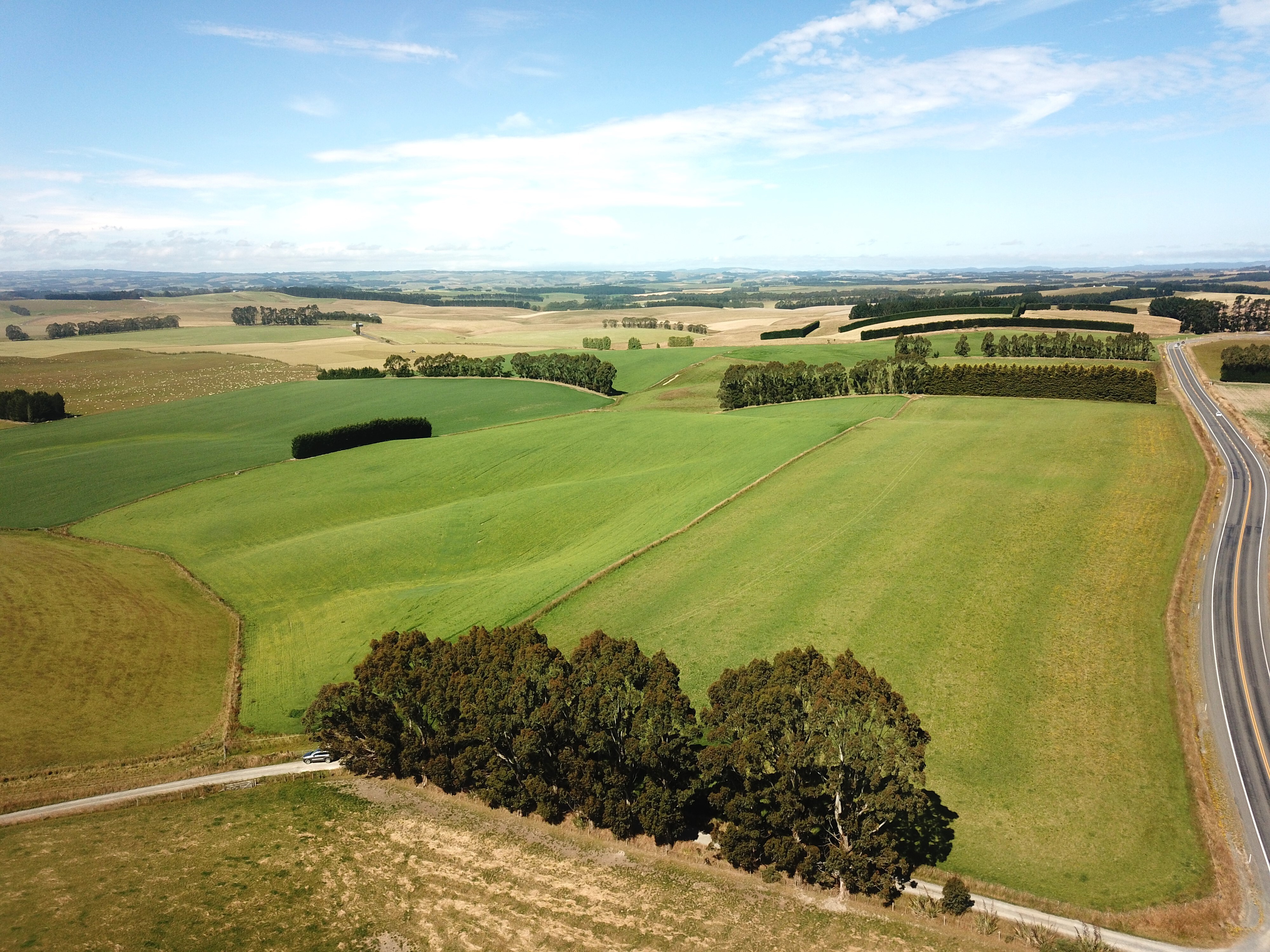 1518 Clinton Highway, Waiwera South, Clutha For Sale Property Brokers