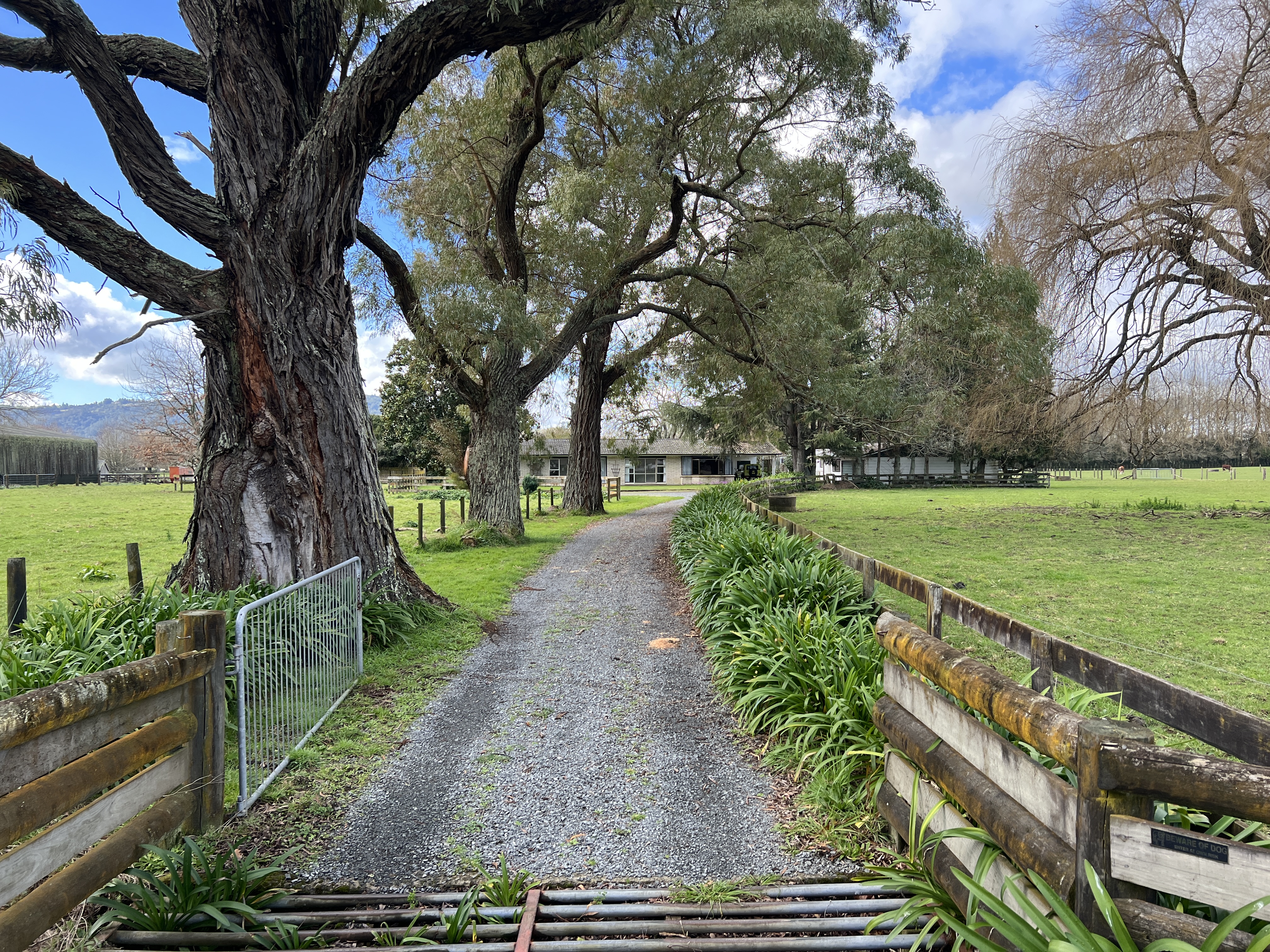 166 Saint Kilda Road, Cambridge, Waipa For Sale Property Brokers