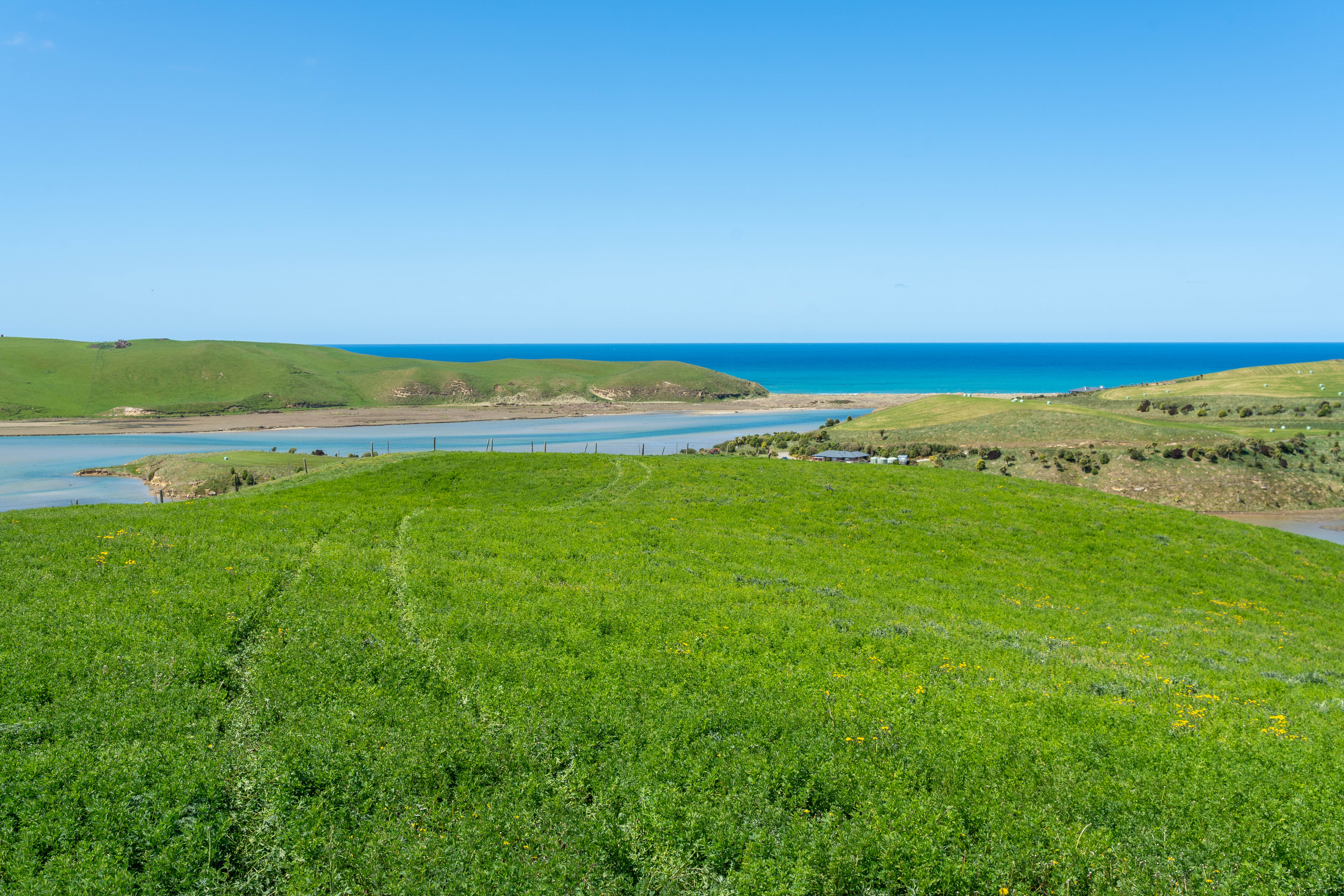 Lot 4 PalmerstonWaikouaiti Road, Waikouaiti, Dunedin City For Sale