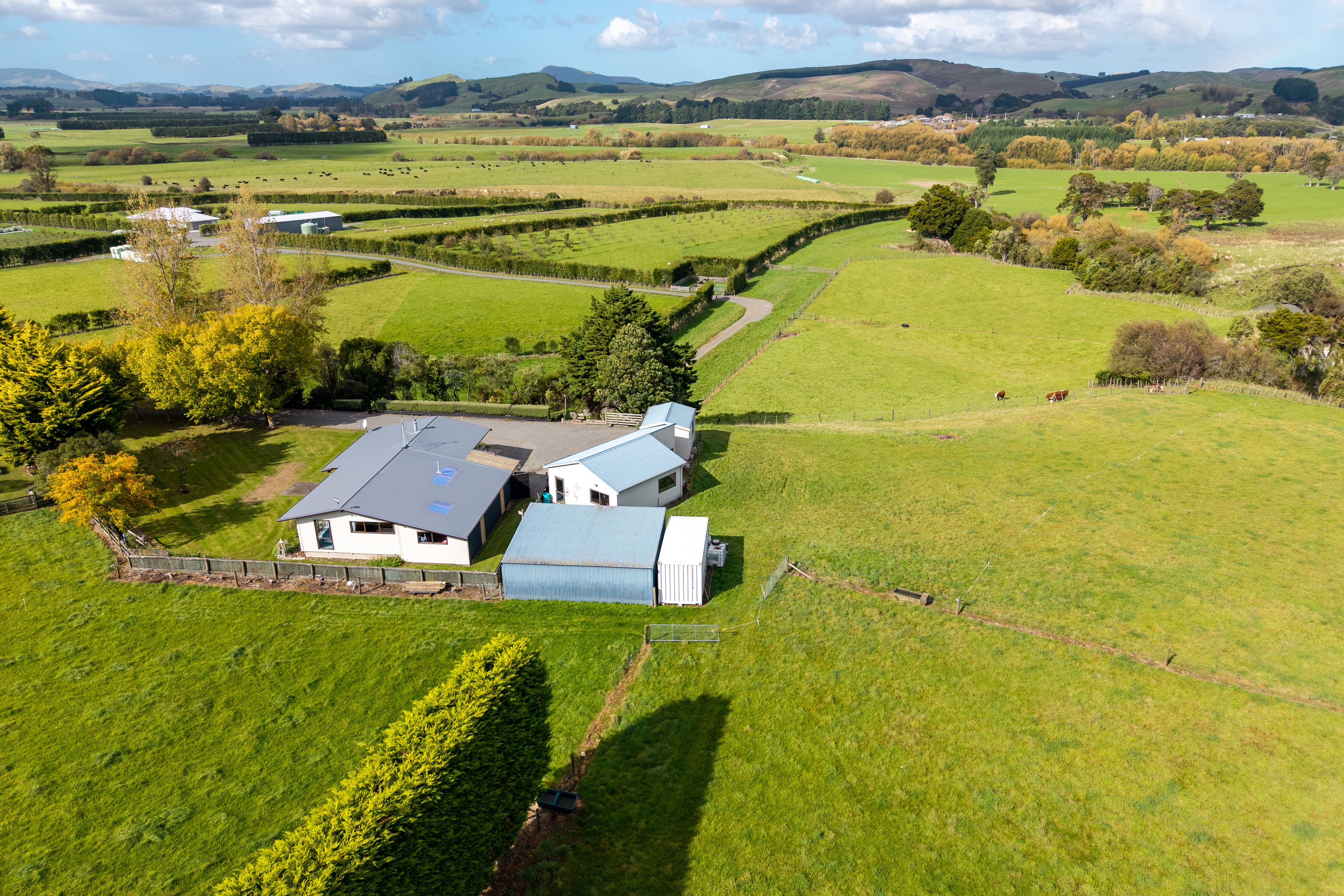 Listing