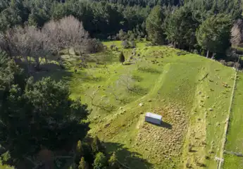 FL206958