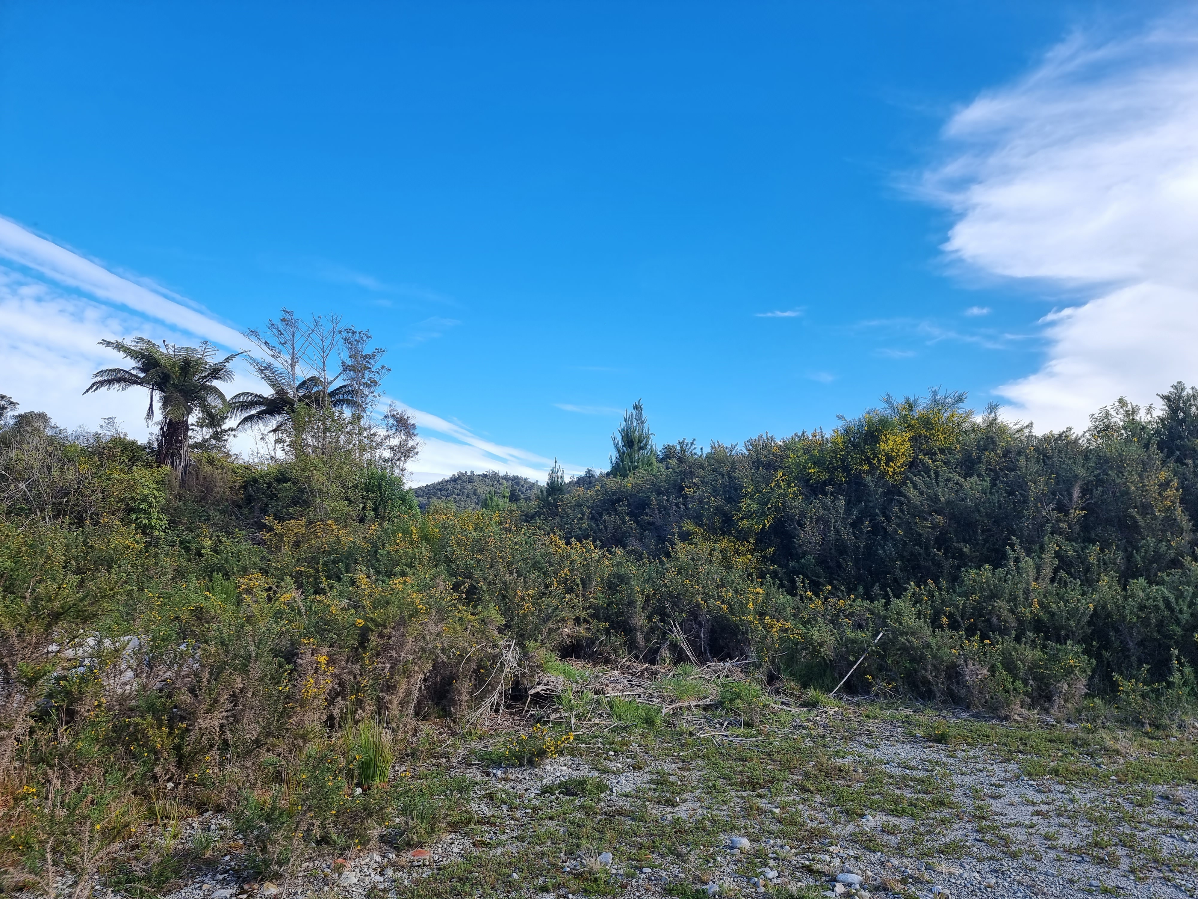 Lot 1 Rutherglen Road, Rutherglen, Greymouth For Sale Property Brokers