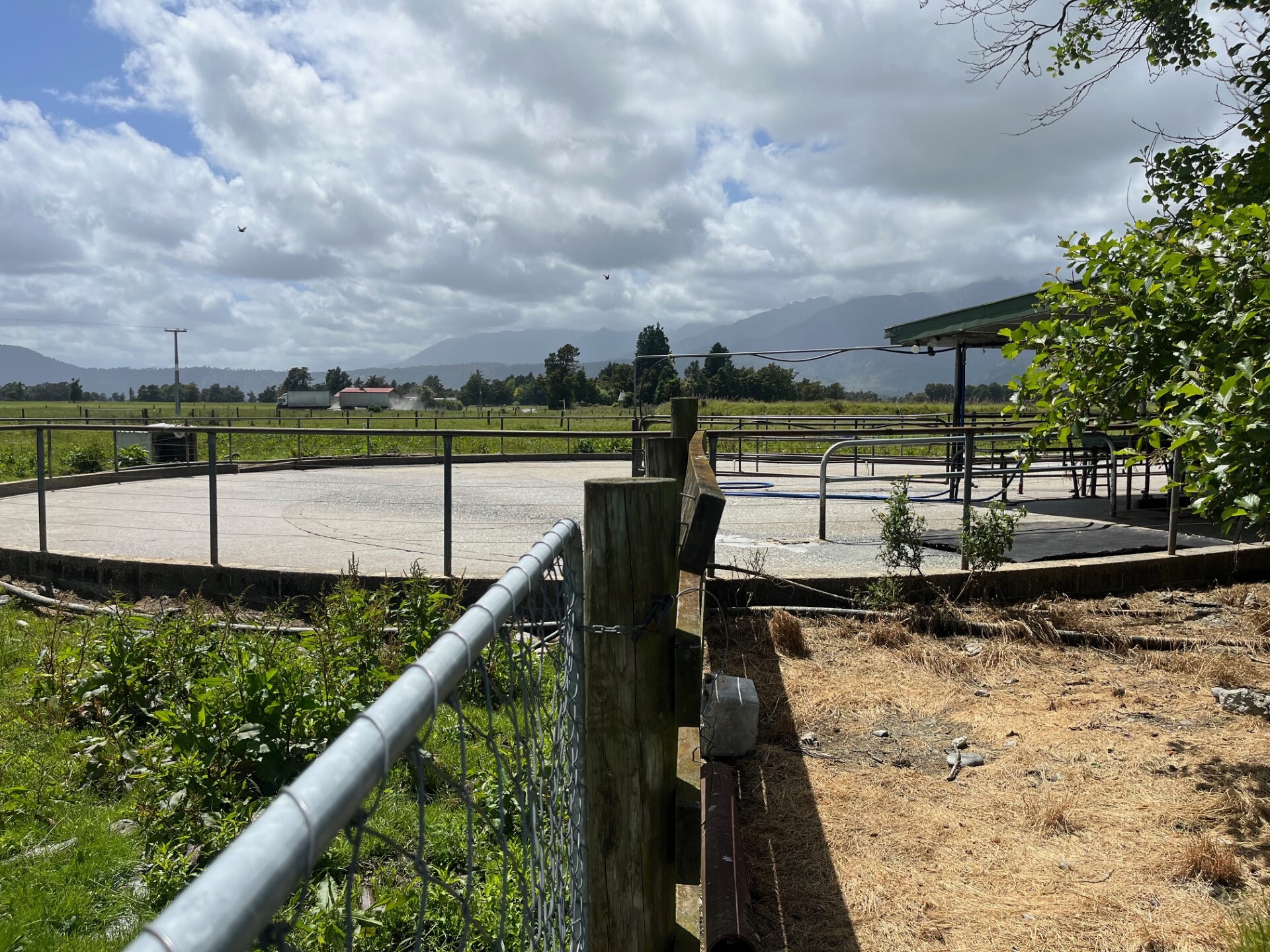 58 Deehan Road, Whataroa, Westland For Sale Property Brokers