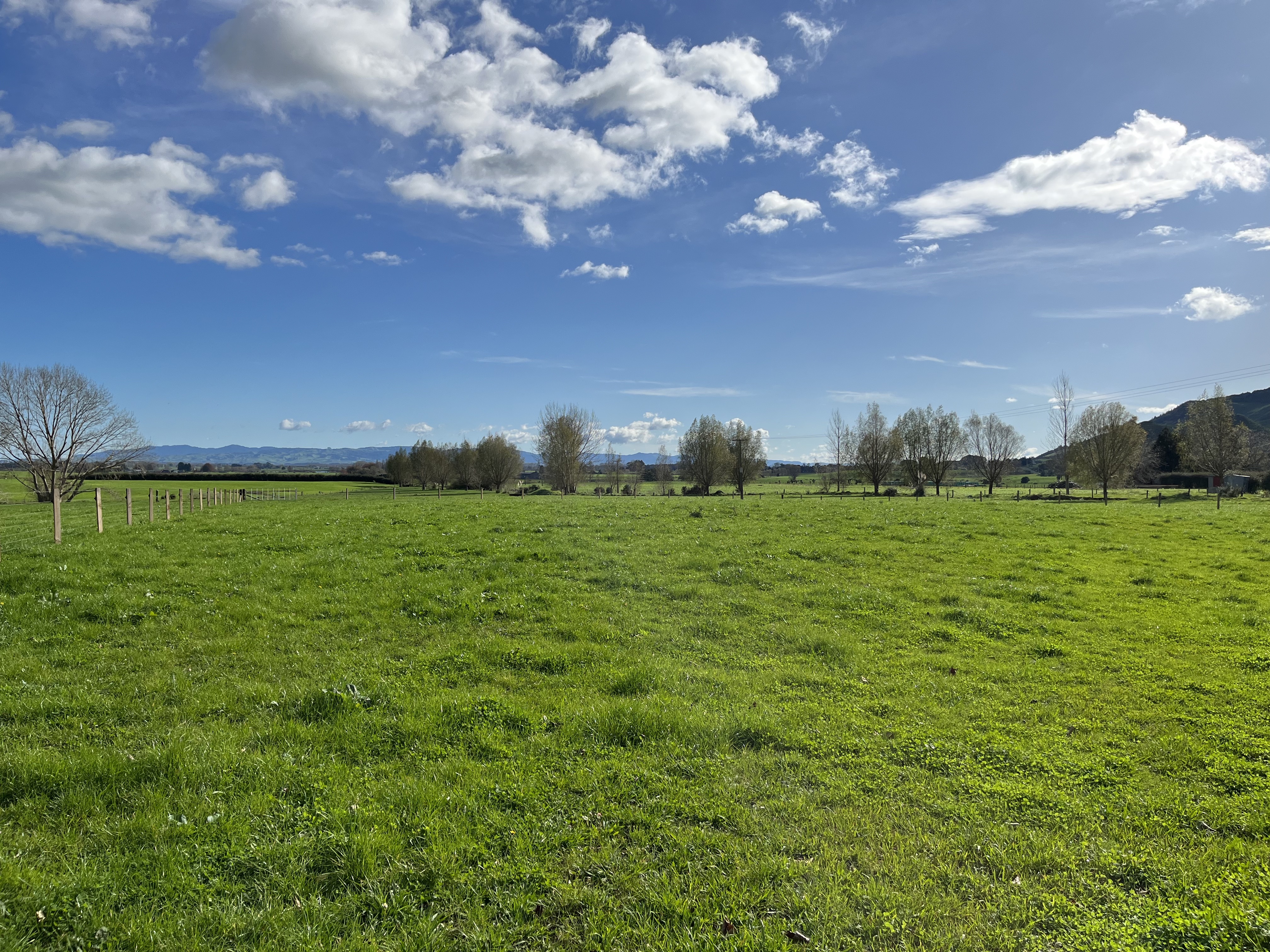 Rawhiti Road, Te Aroha, Matamata Piako For Sale Property Brokers