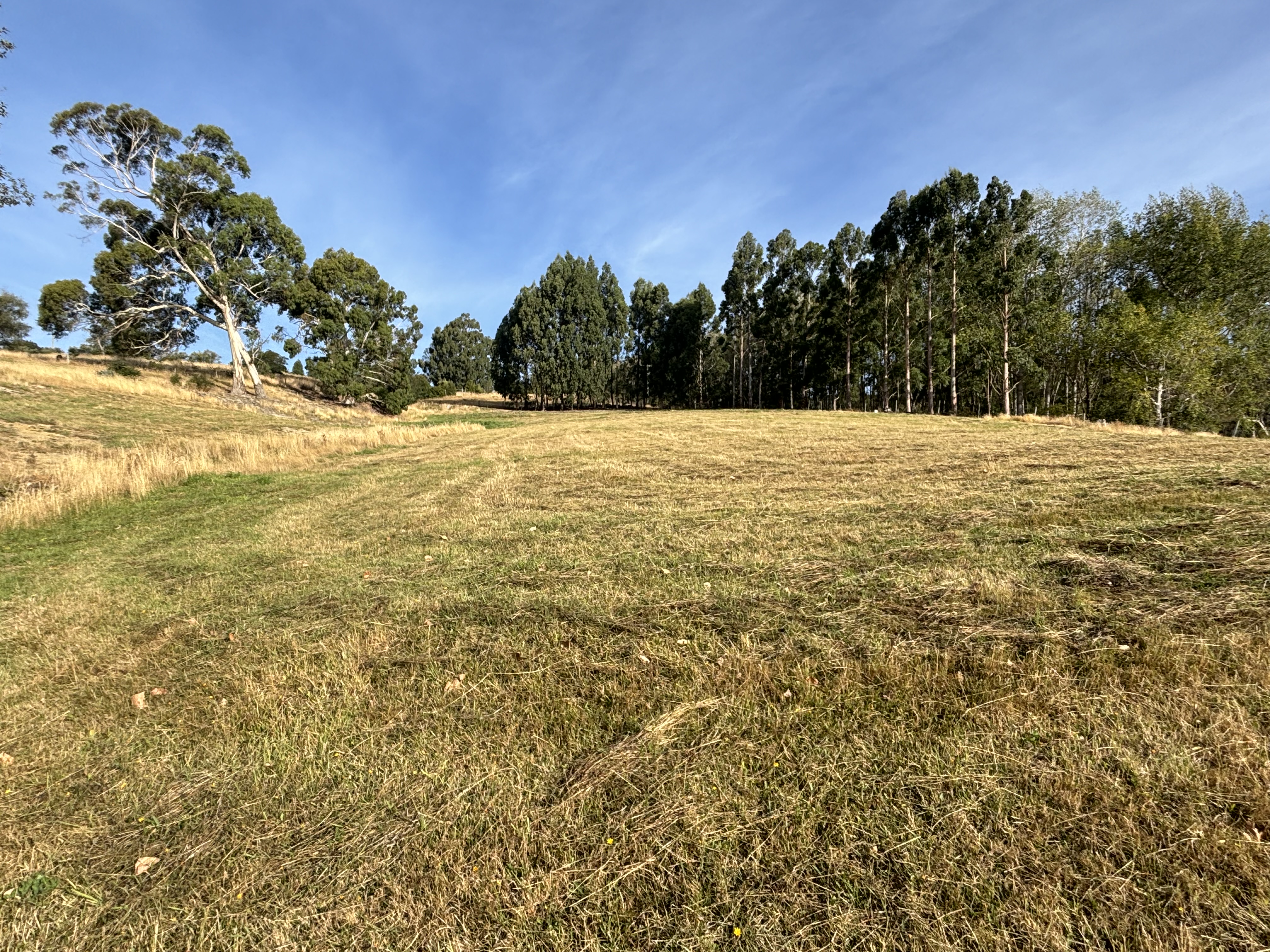 6 Braeside, East Taieri, Dunedin City For Sale Property Brokers