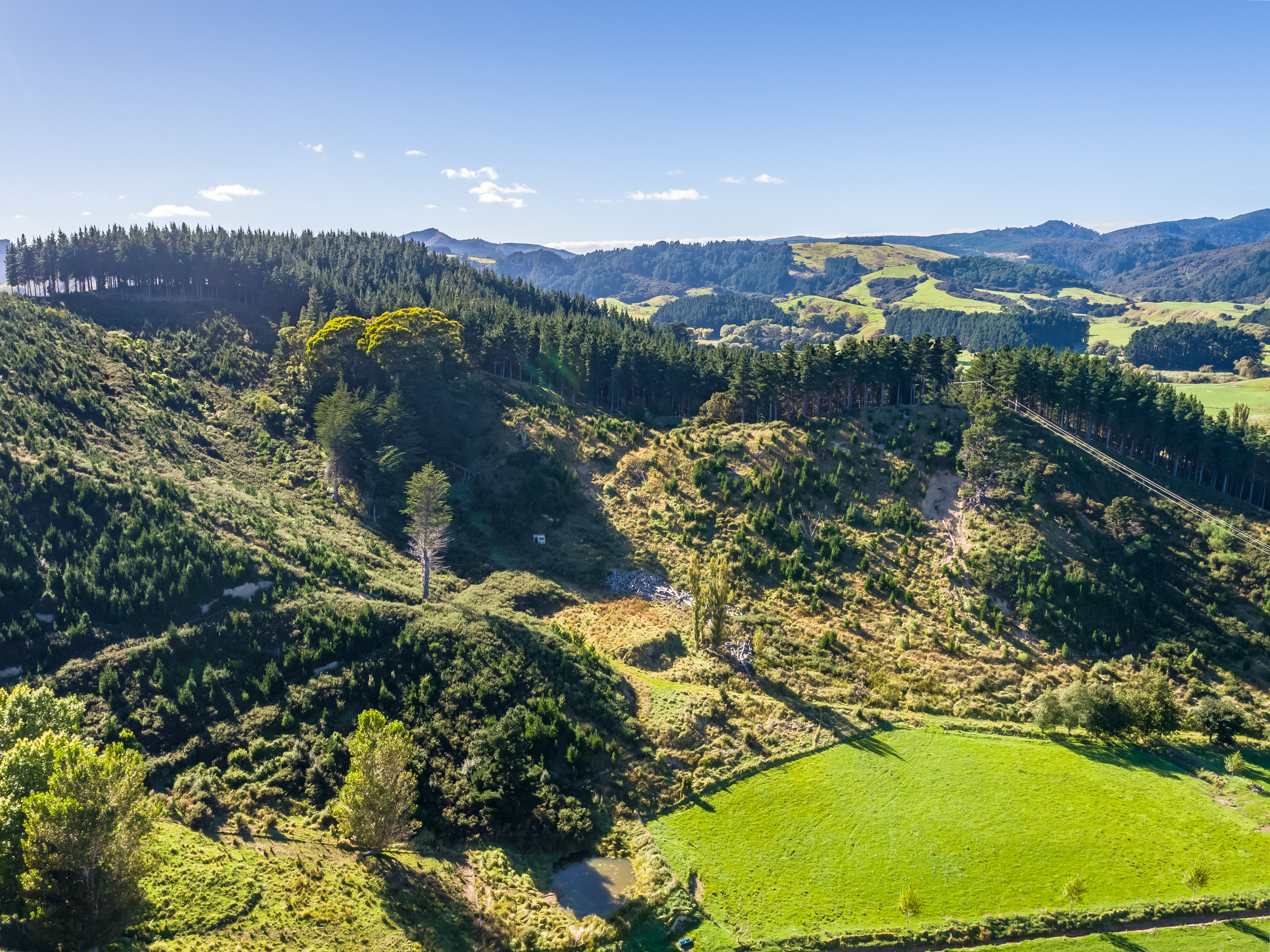 4265 Castlepoint Road, Tinui, Masterton For Sale Property Brokers