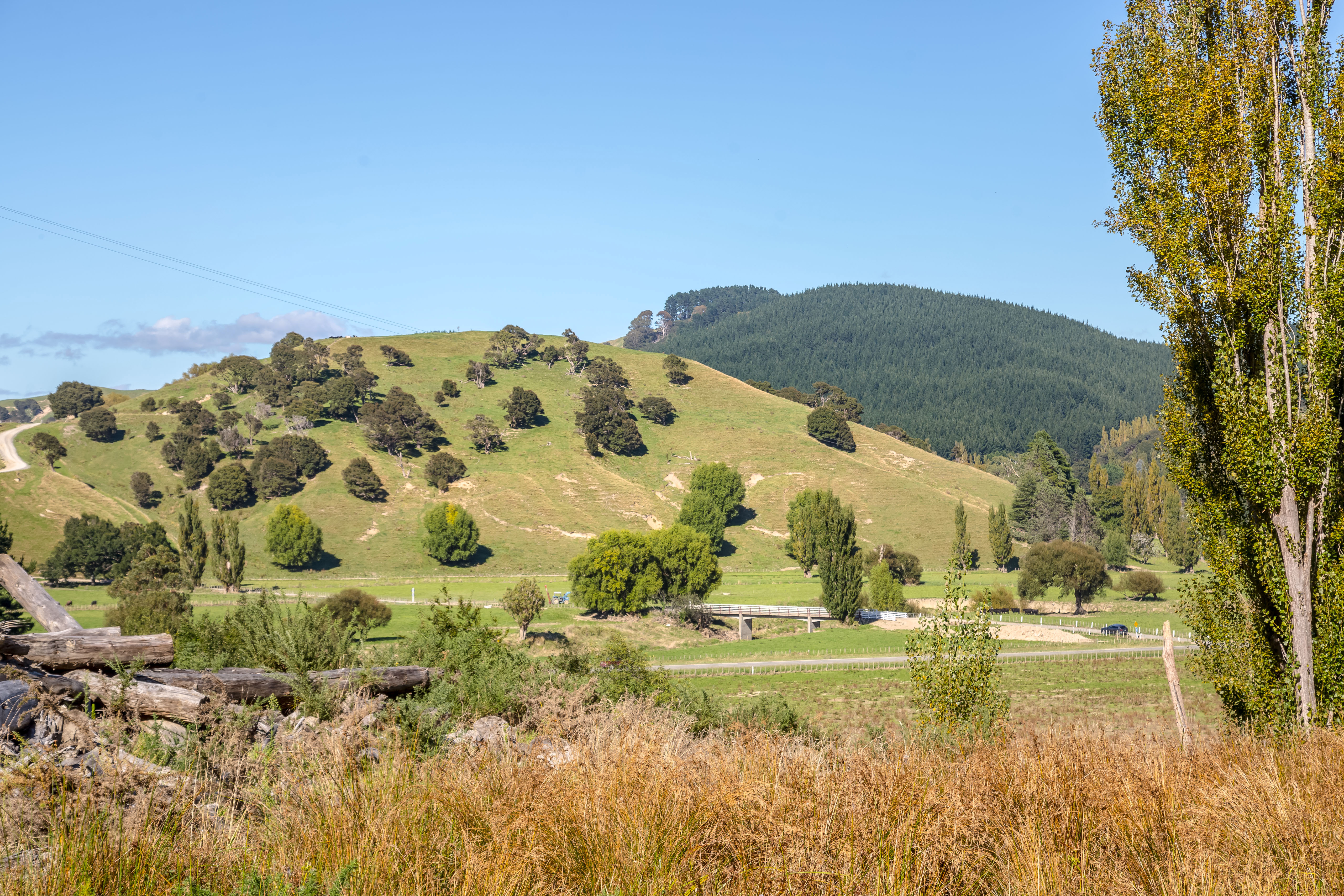 4265 Castlepoint Road, Tinui, Masterton For Sale Property Brokers