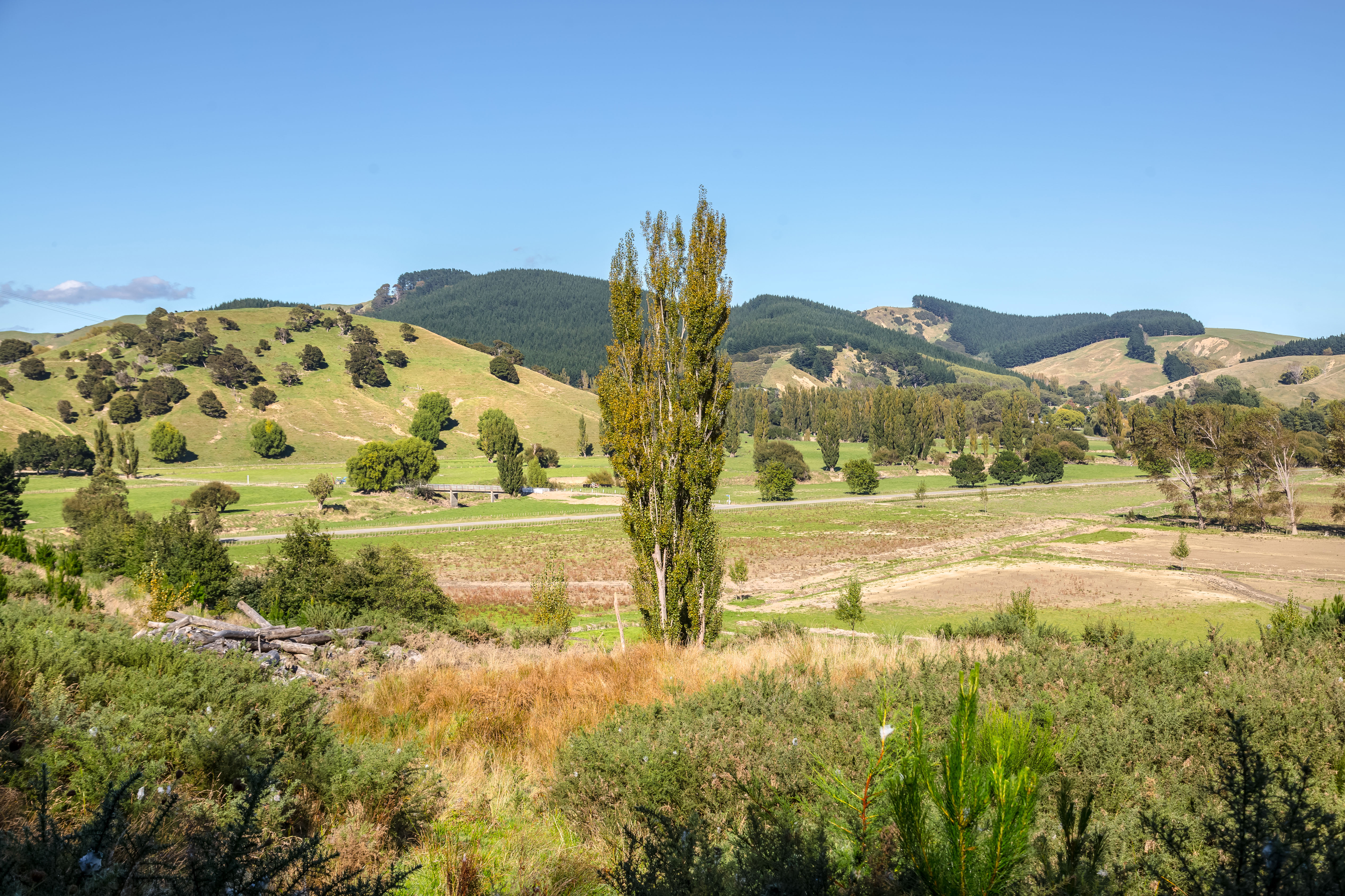4265 Castlepoint Road, Tinui, Masterton For Sale Property Brokers