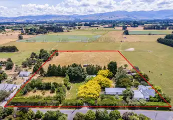 Listing