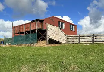 NPL165125