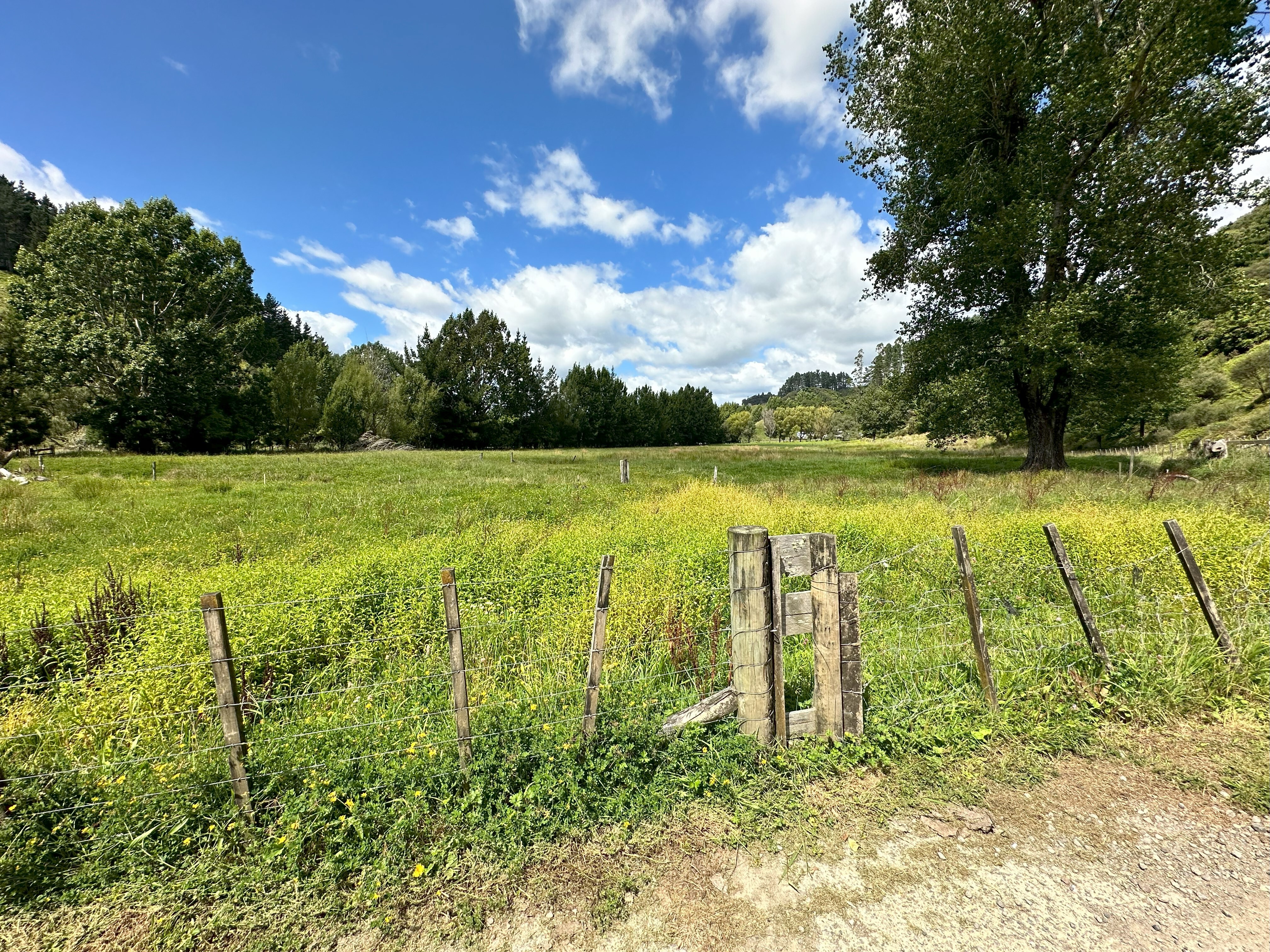 Uruti, New Plymouth For Sale Property Brokers