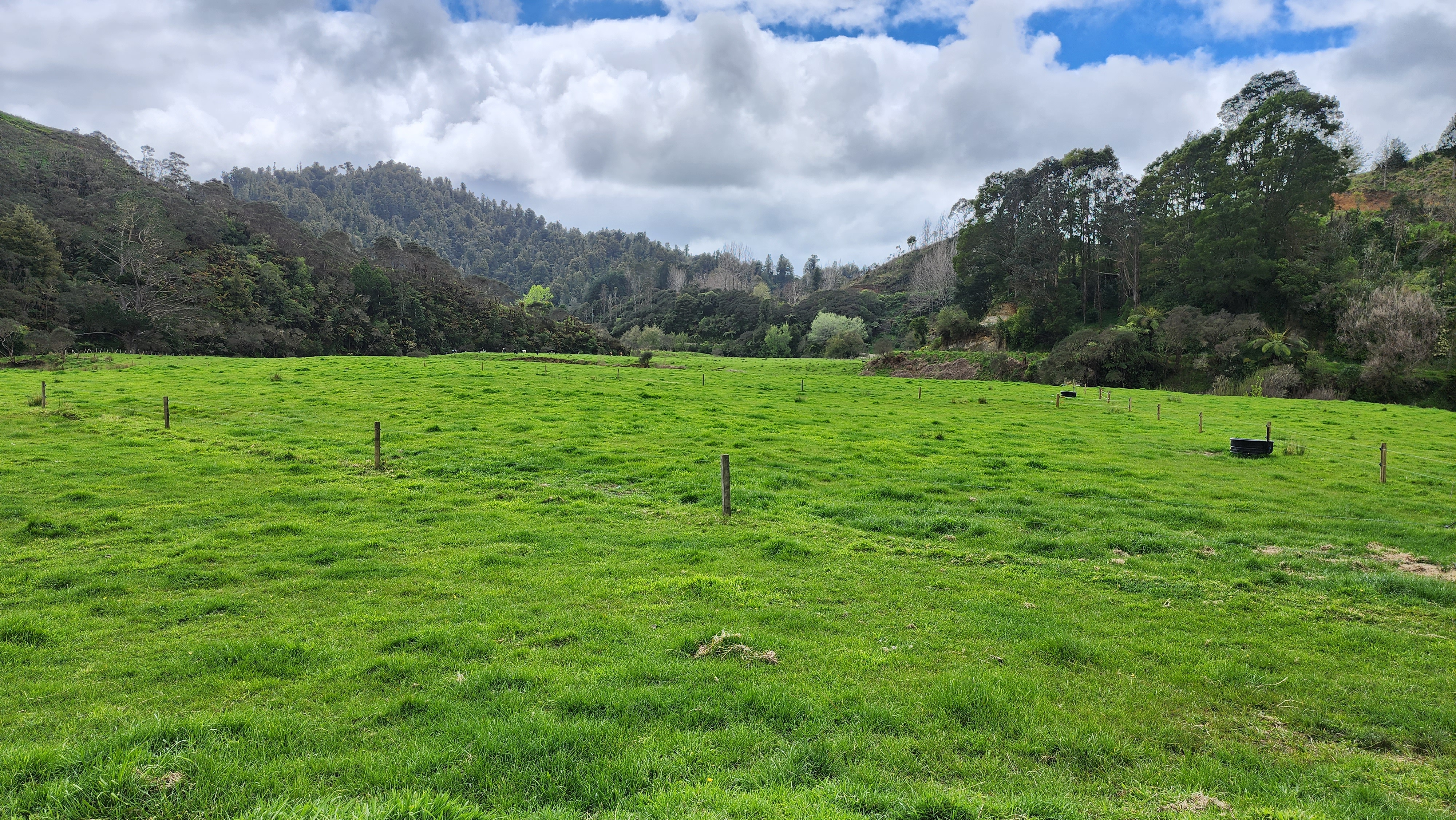 450 Piko Road, Urenui, New Plymouth For Sale Property Brokers