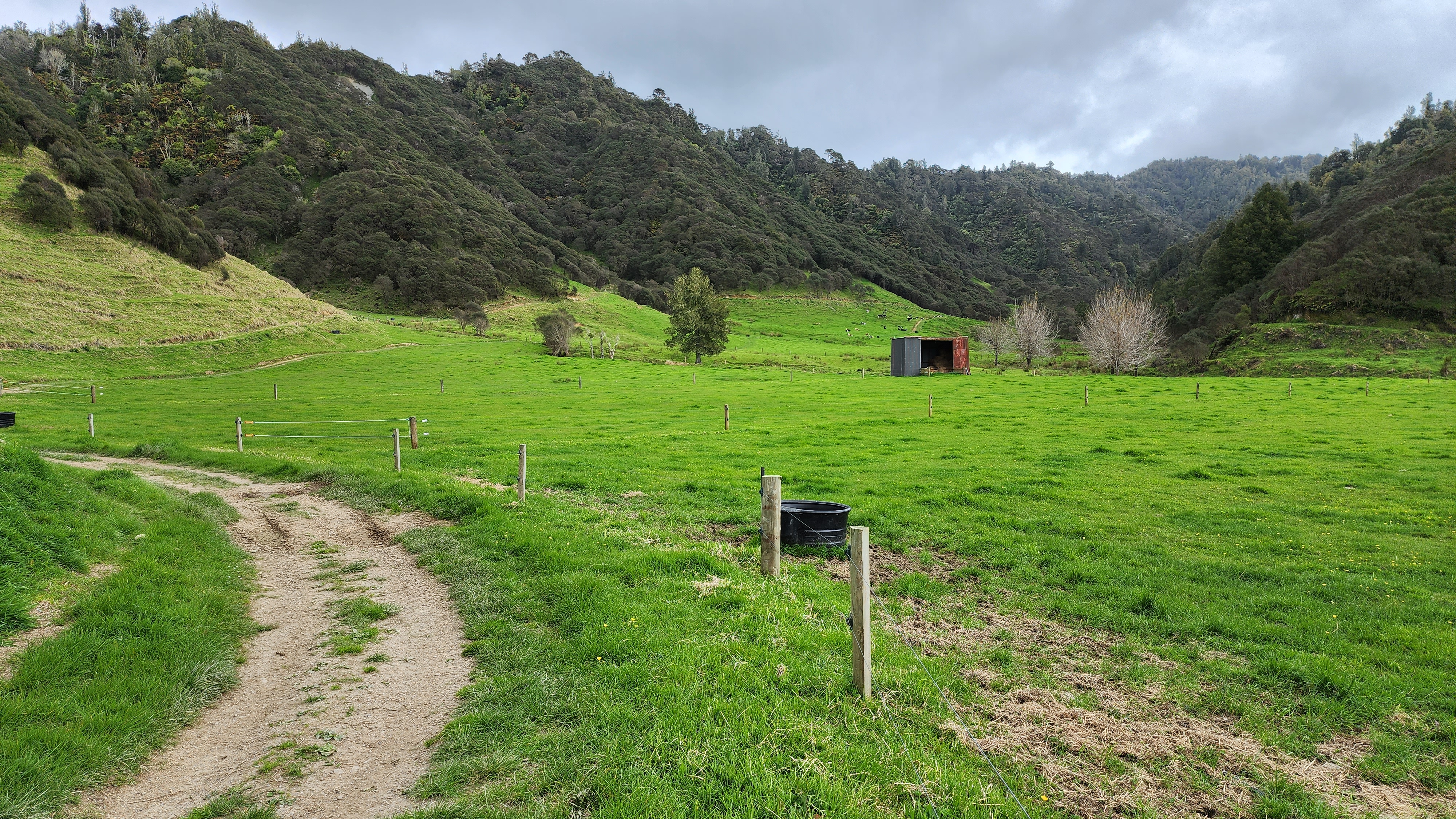 450 Piko Road, Urenui, New Plymouth For Sale Property Brokers