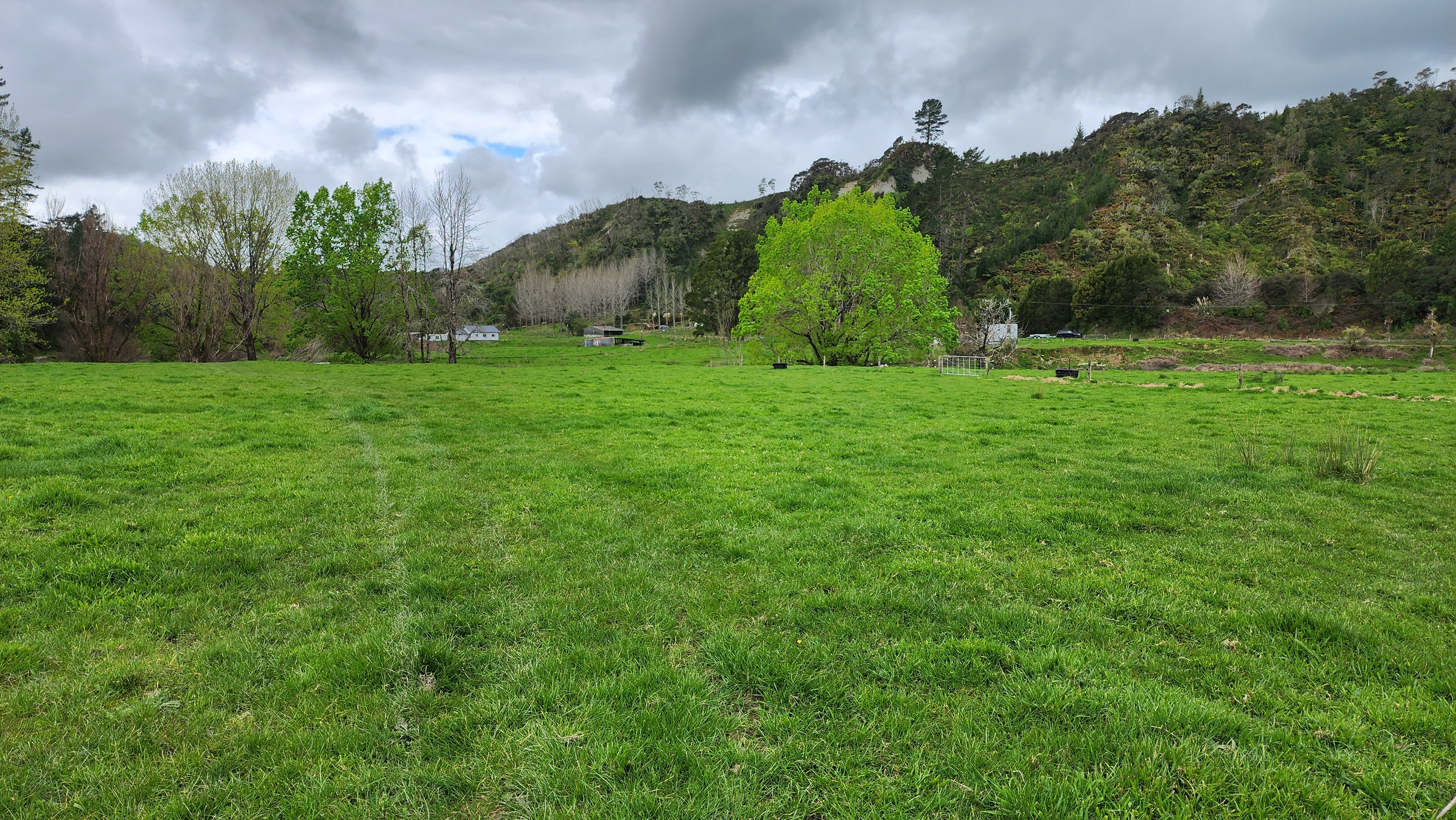 450 Piko Road, Urenui, New Plymouth For Sale Property Brokers