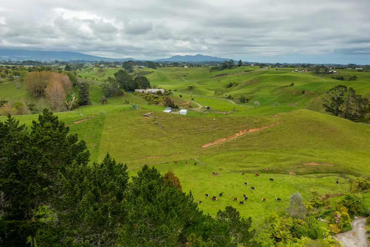 79 Dorset Road, Hillsborough, New Plymouth