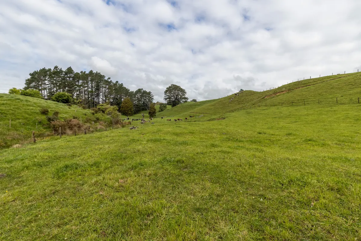 79 Dorset Road, Hillsborough, New Plymouth