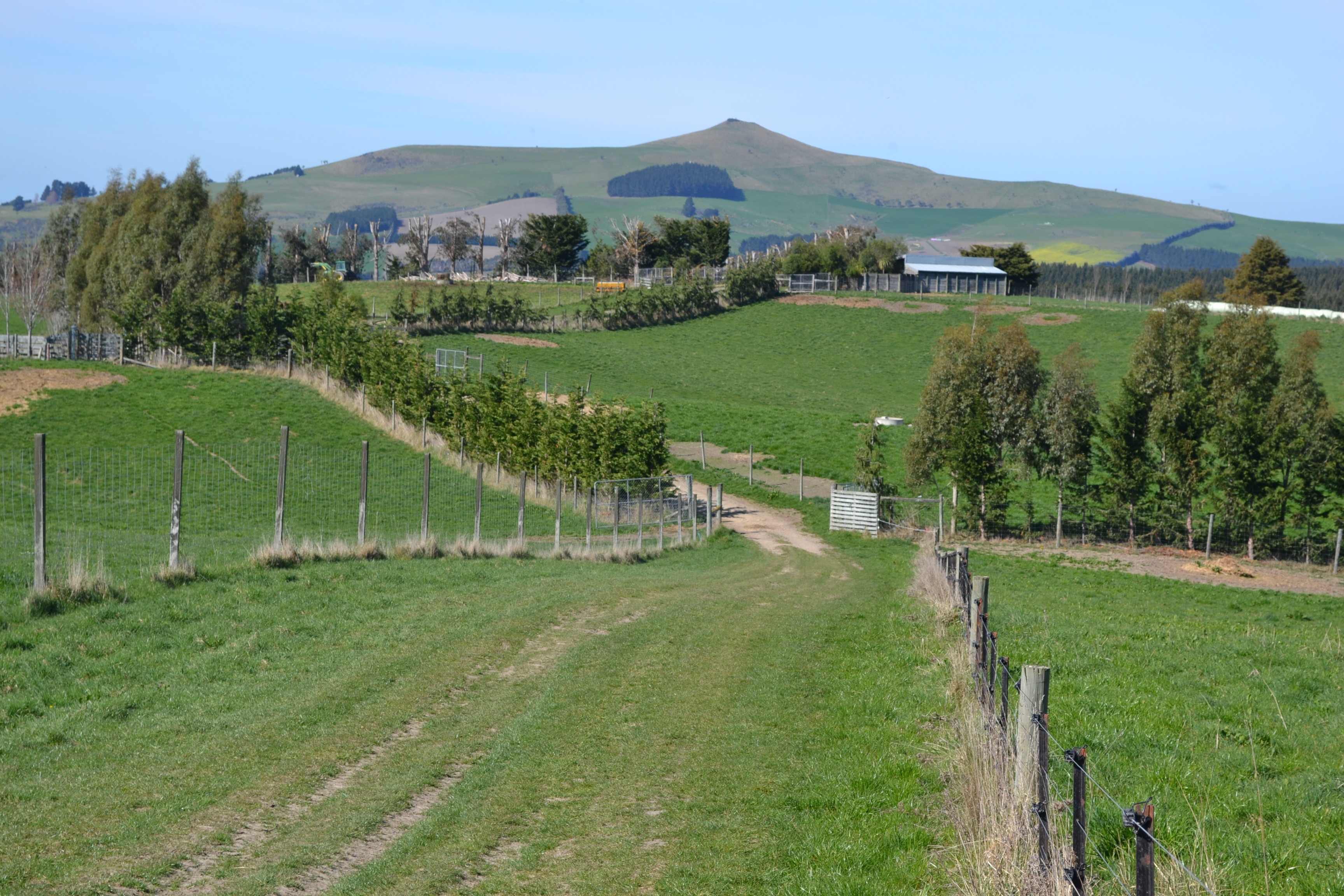 665 Dunrobin Road, Fuchsia Creek, Waitaki For Sale Property Brokers