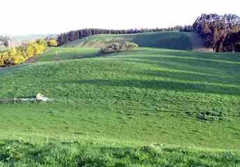 OMR78314