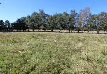 PL167519