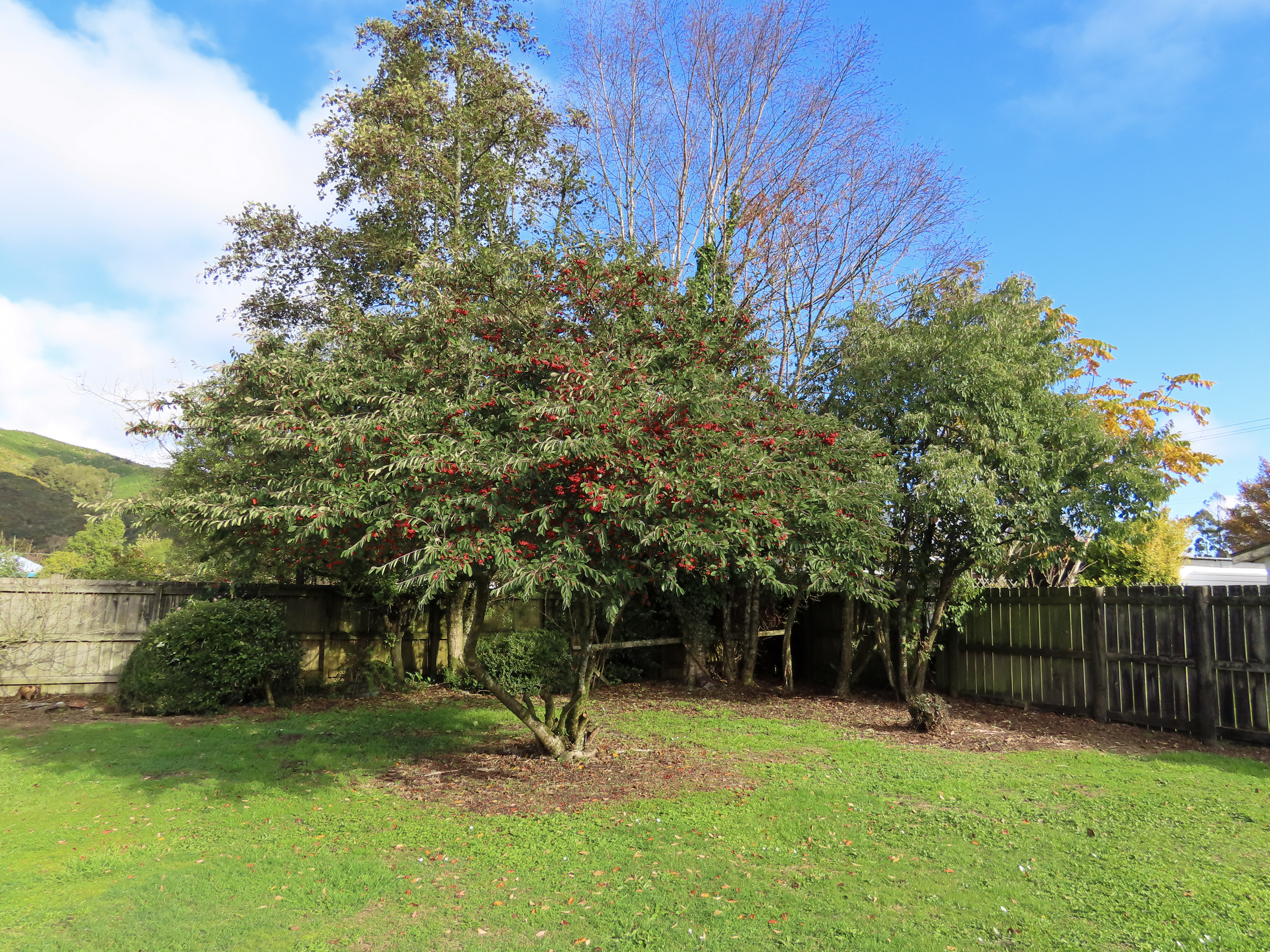 Listing