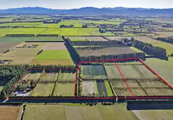 Listing