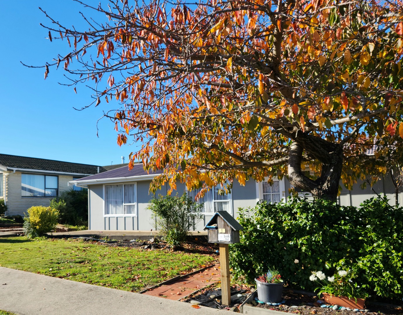 Listing