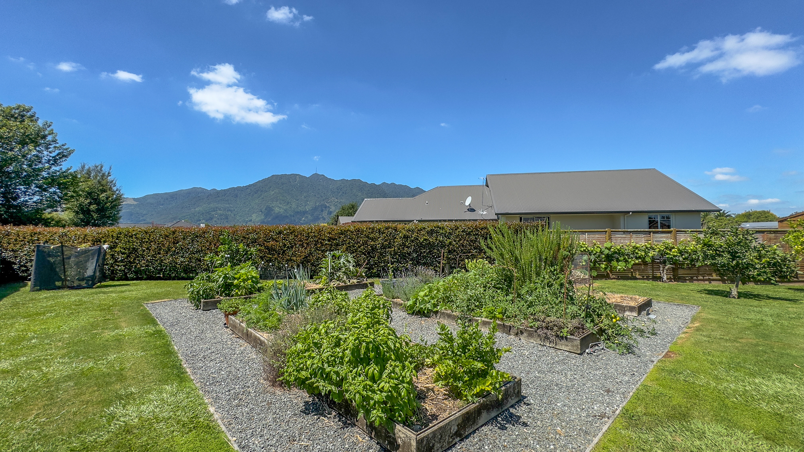 115C Grattan Road, Te Aroha, Matamata Piako For Sale Property Brokers