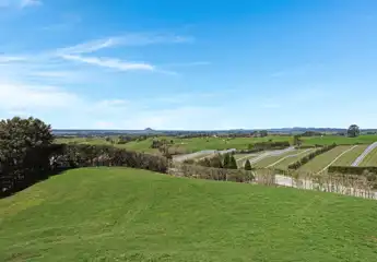 TNL166961