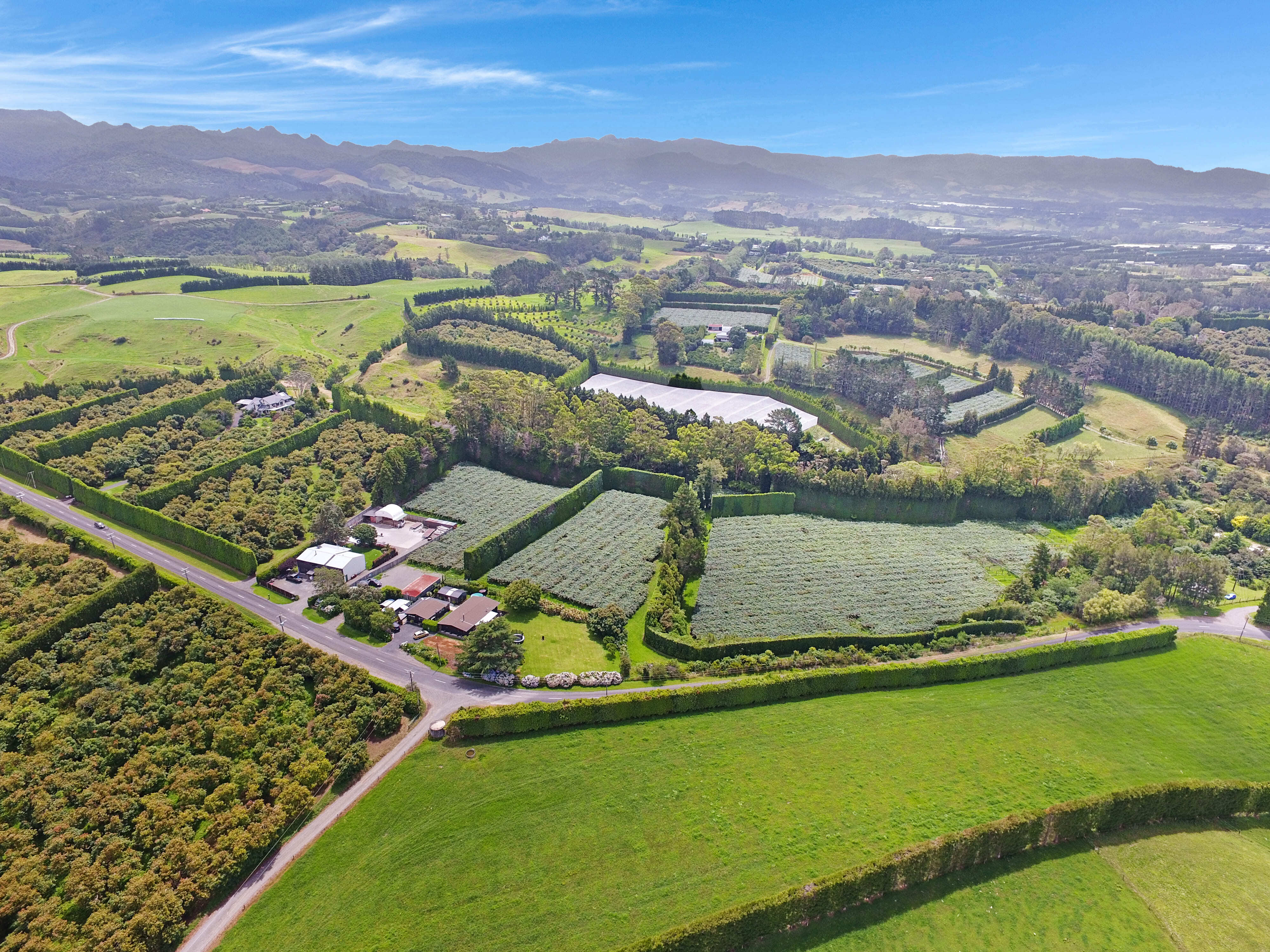 186 Lockington Road, Aongatete, Western Bay Of Plenty For Sale