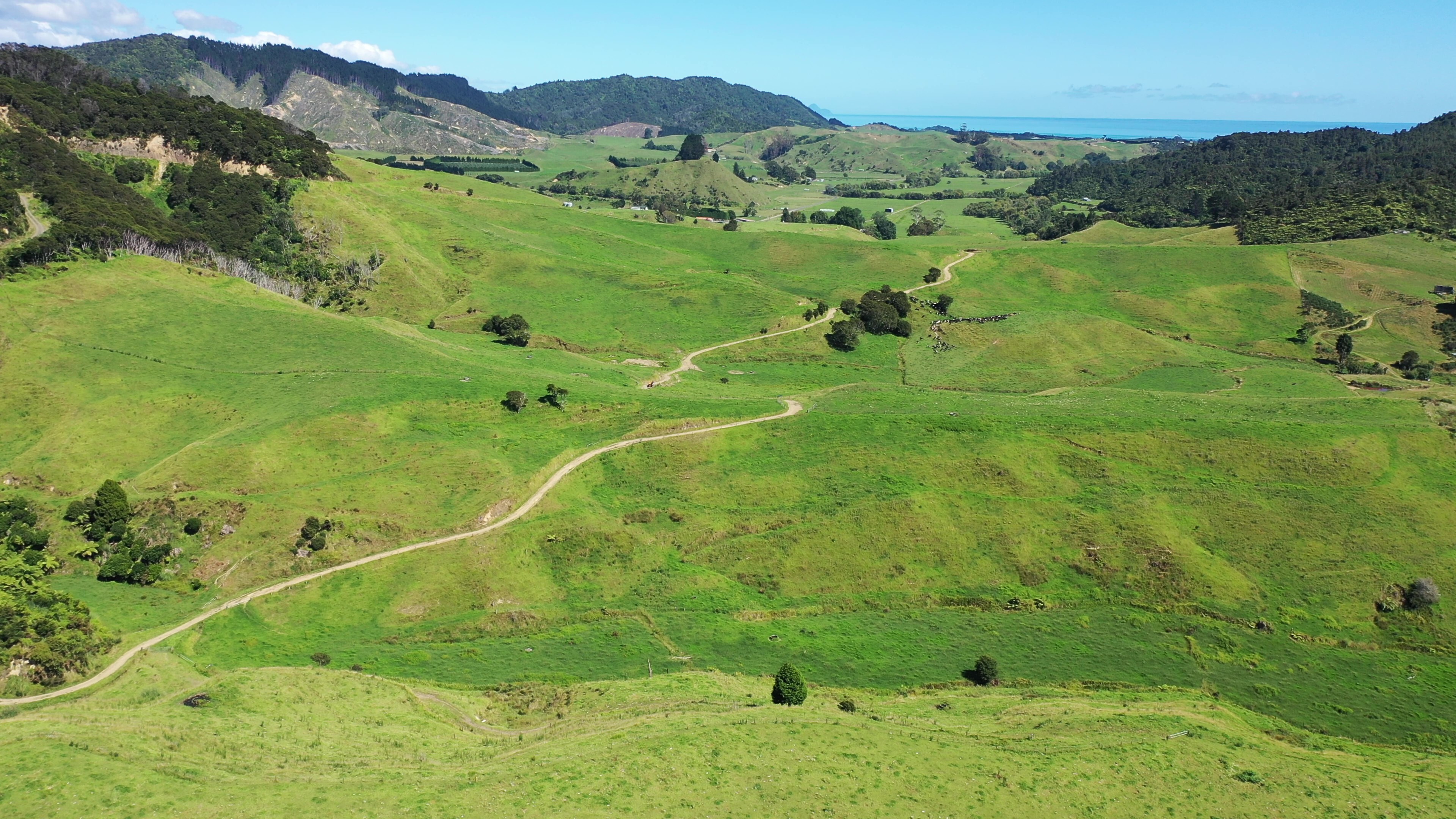 185B Gaskill Road, Toatoa, Opotiki For Sale Property Brokers