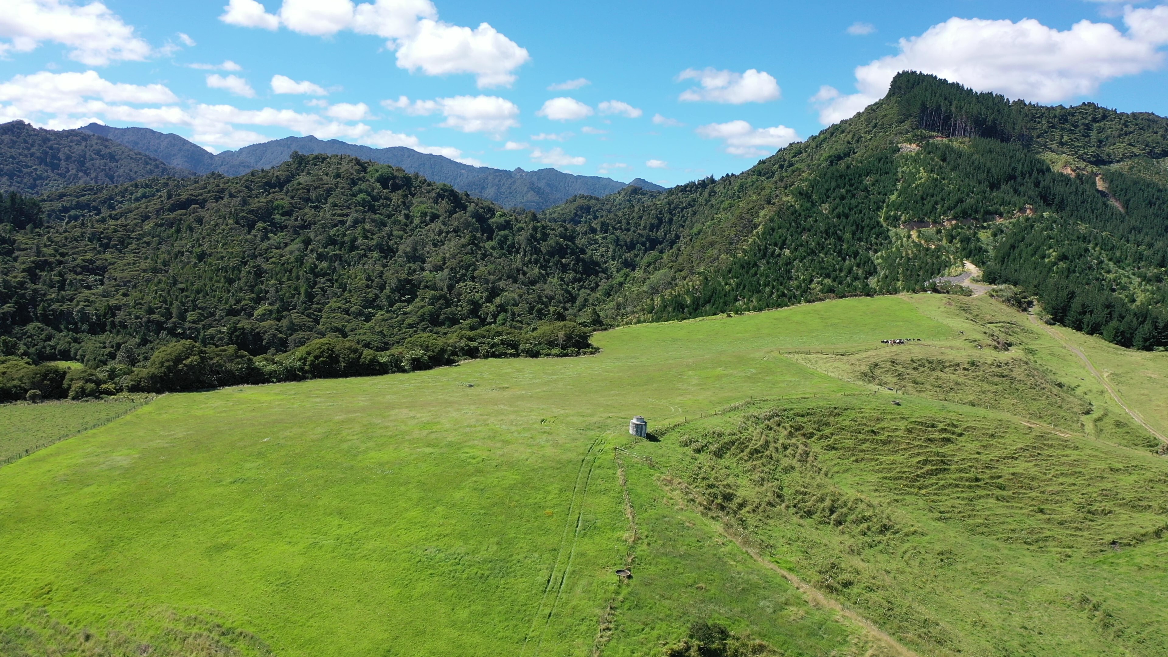 185B Gaskill Road, Toatoa, Opotiki For Sale Property Brokers