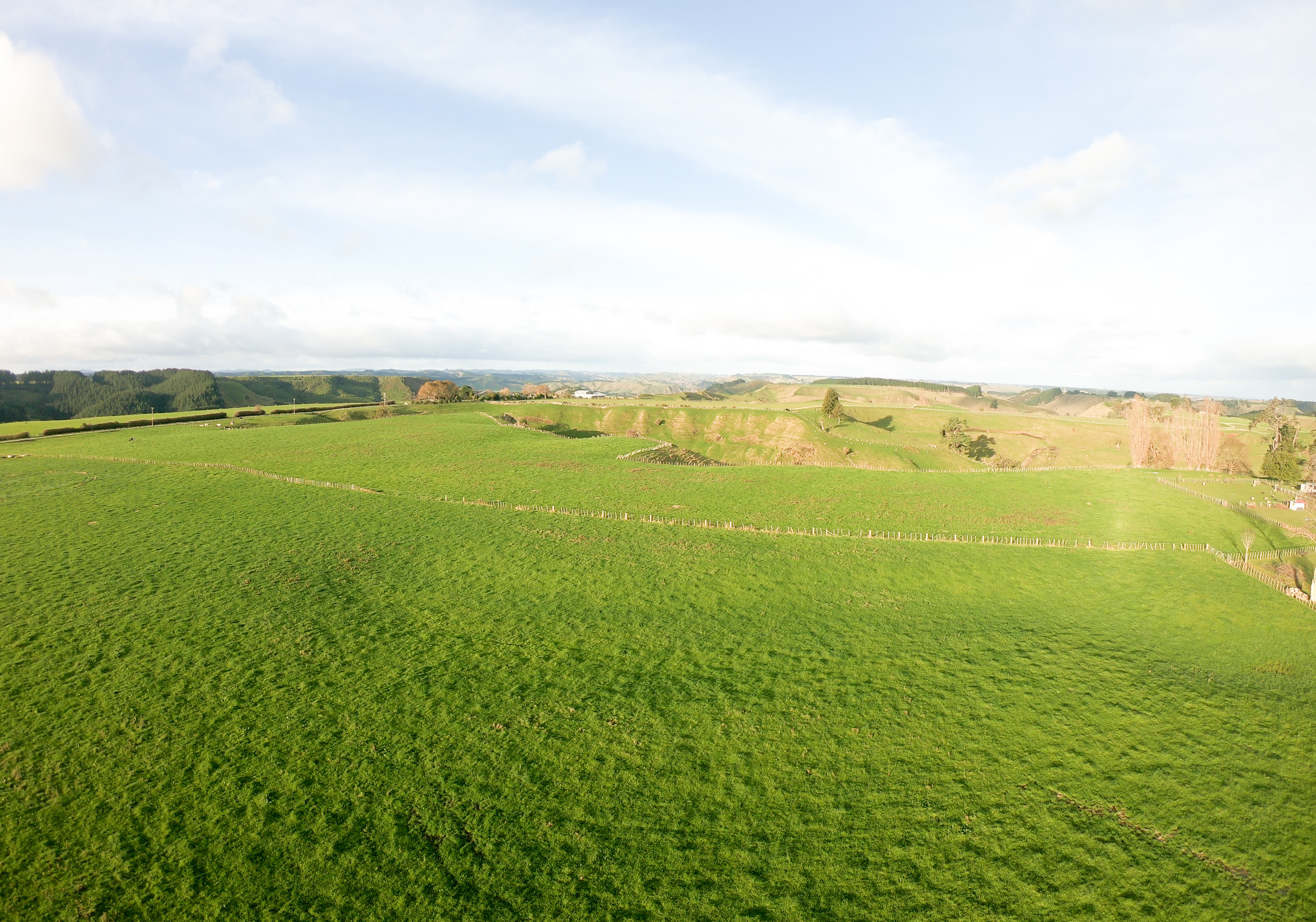 Brunswick, Whanganui For Sale Property Brokers