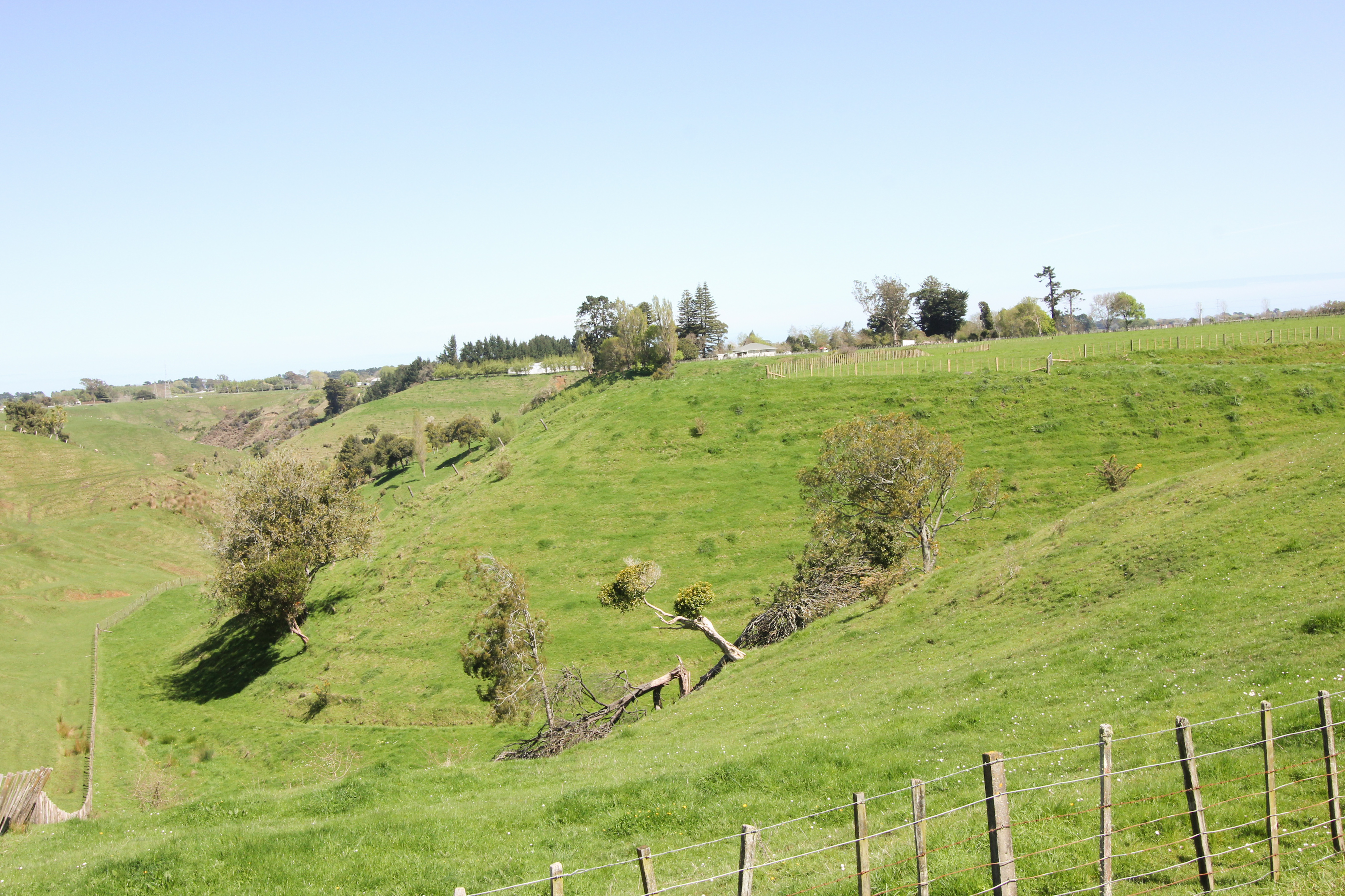 Brunswick, Whanganui For Sale Property Brokers