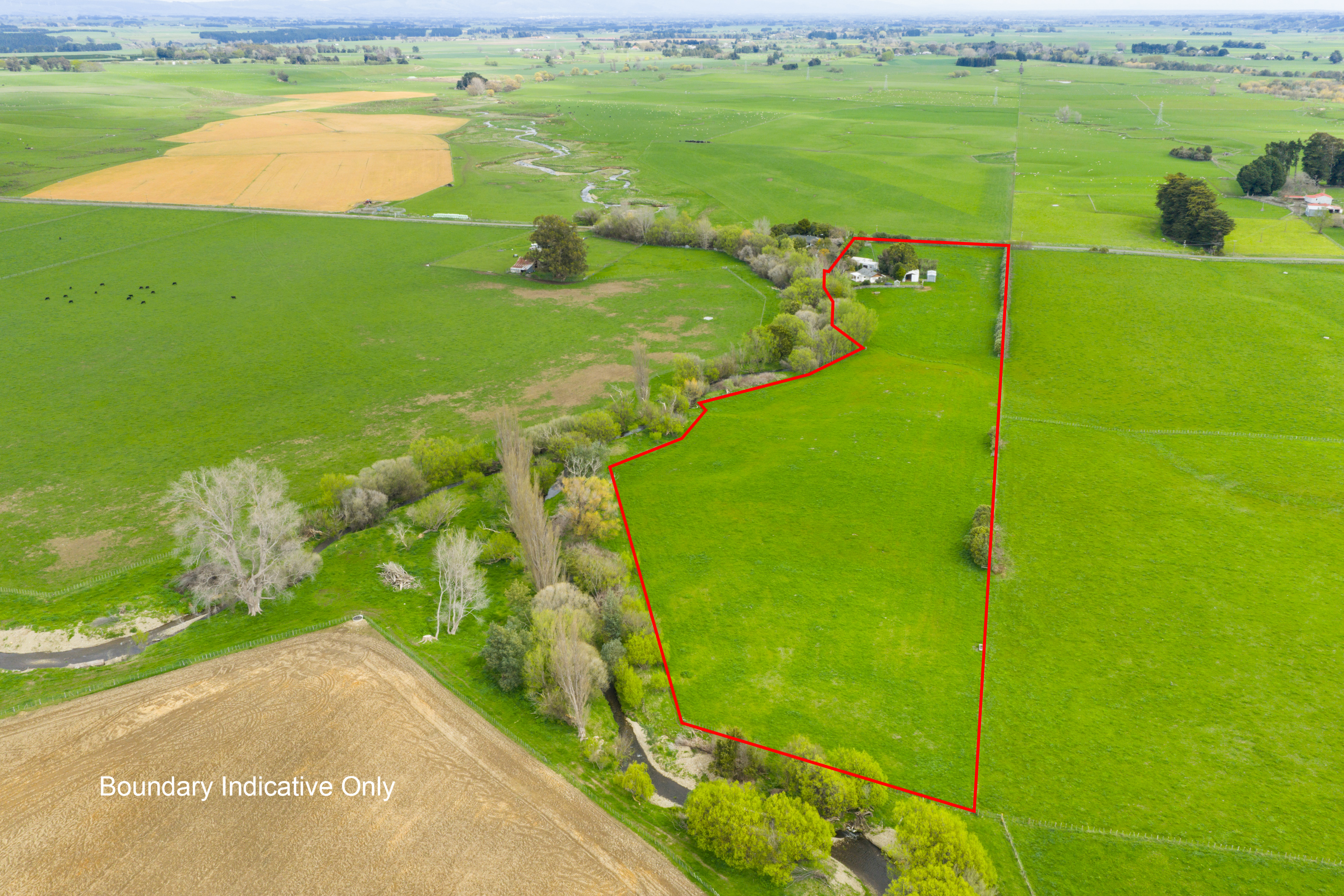 Listing