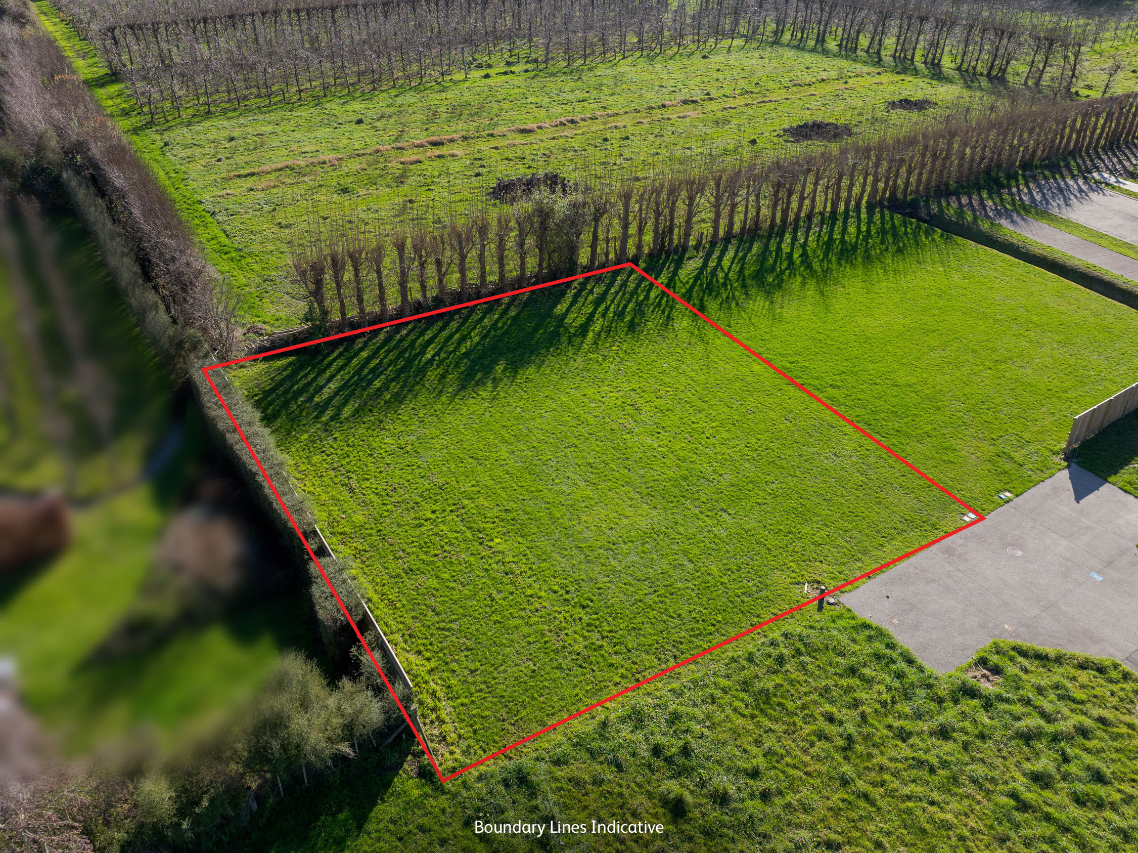 Listing