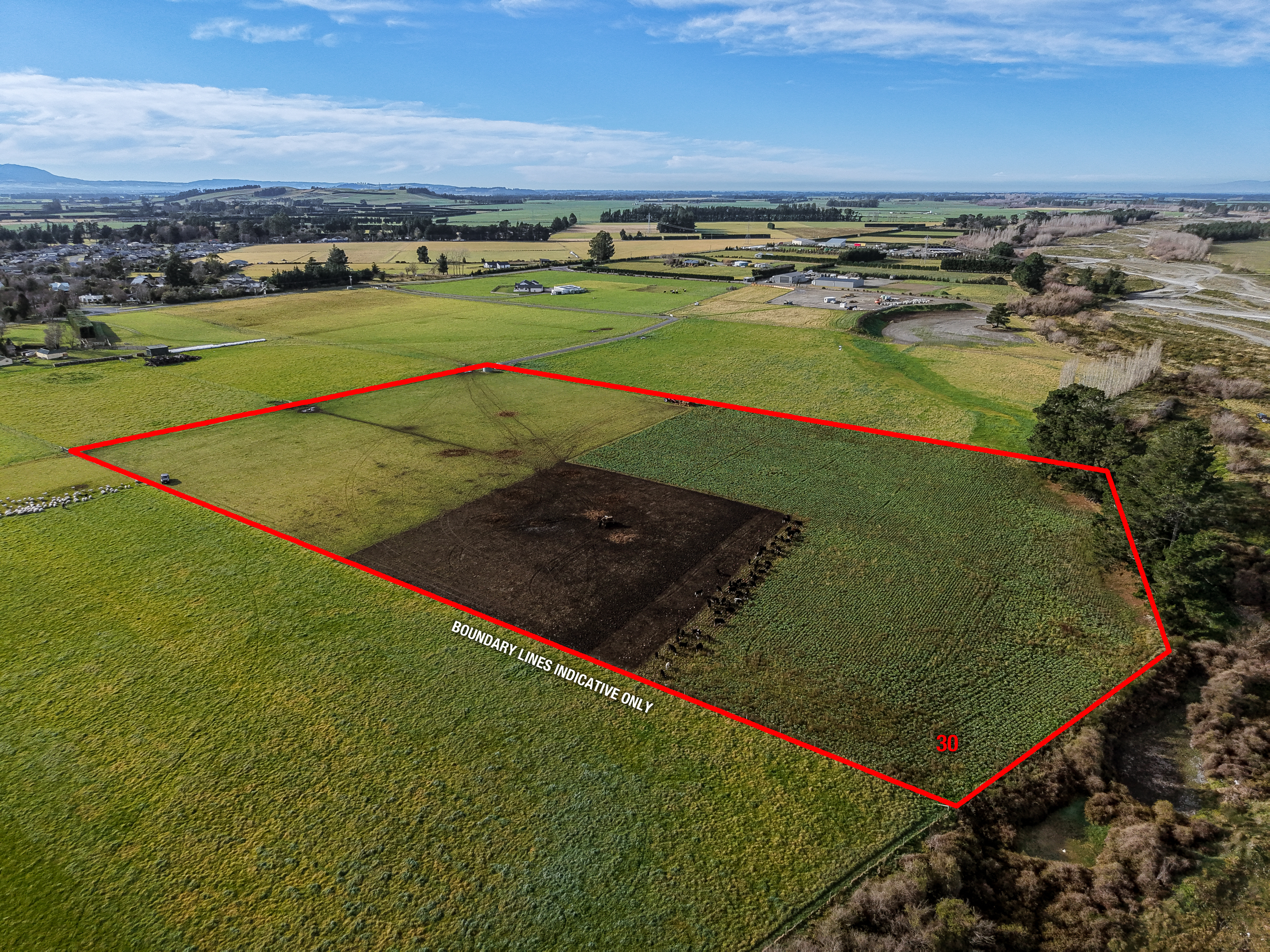 Listing