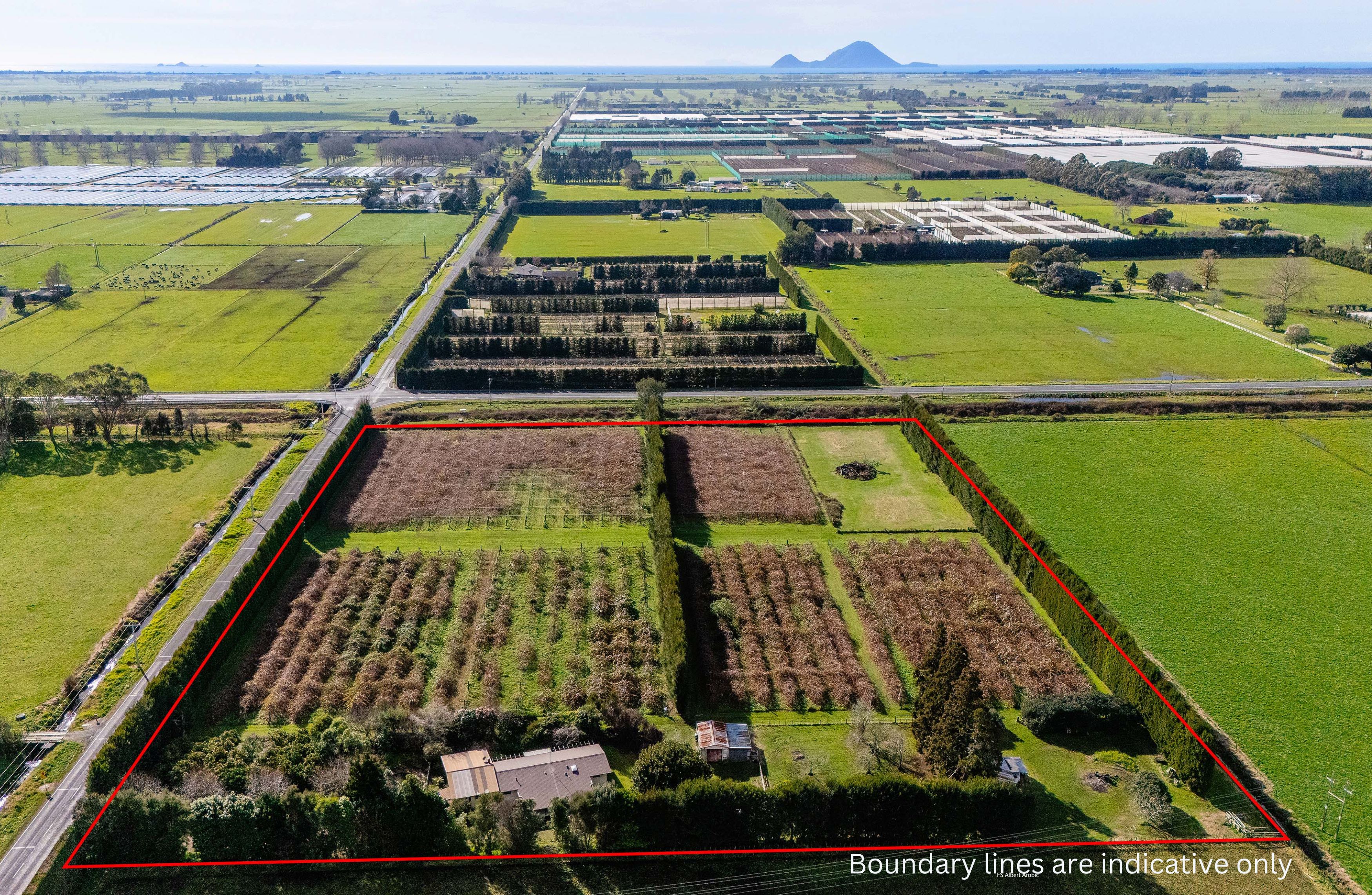 Listing