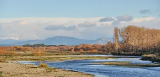 Rangiora