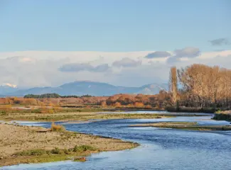 Rangiora