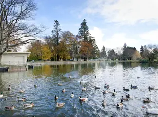 Masterton